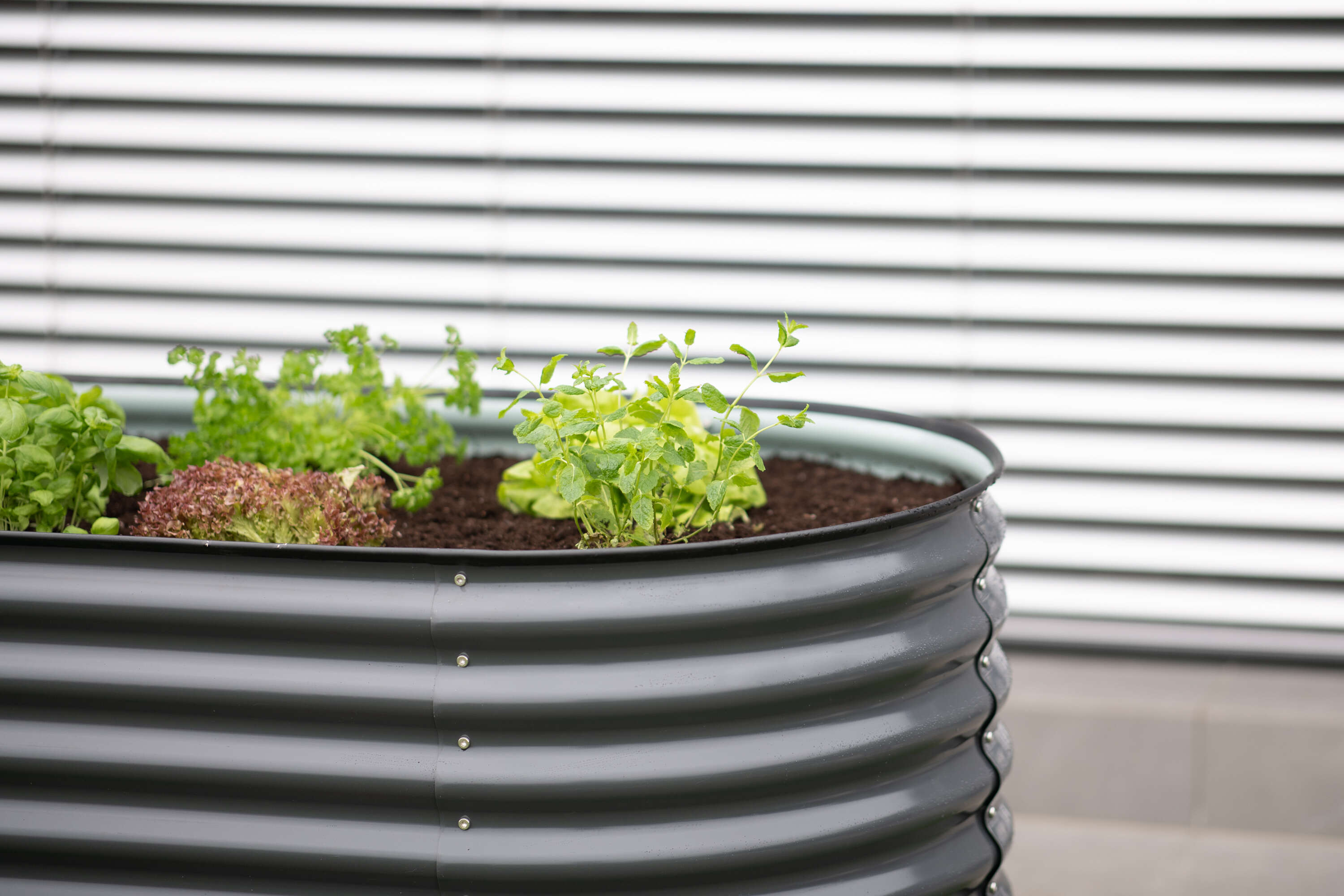 WESTMANN Hochbeet Grow Faster
