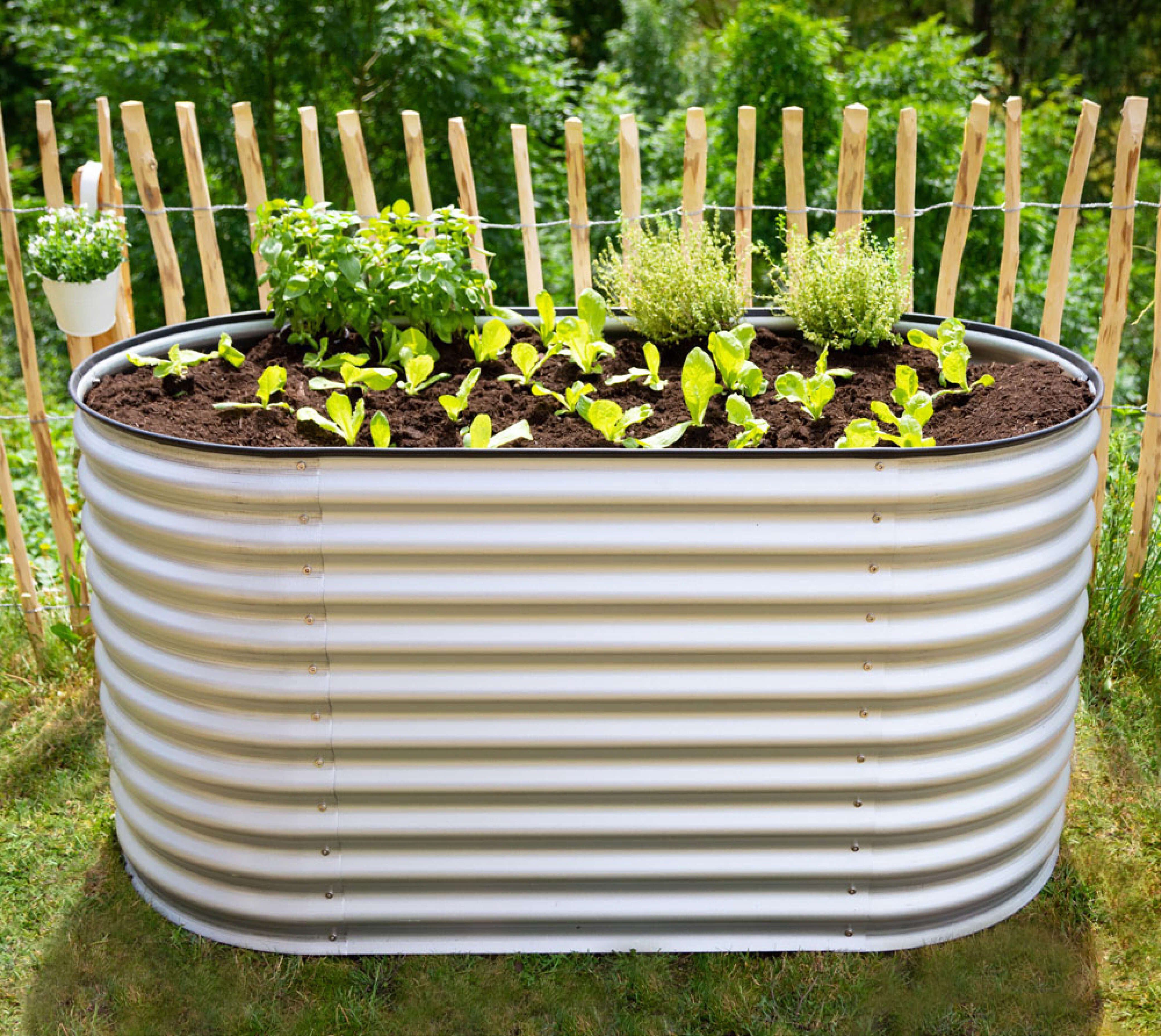 WESTMANN Hochbeet Grow Faster