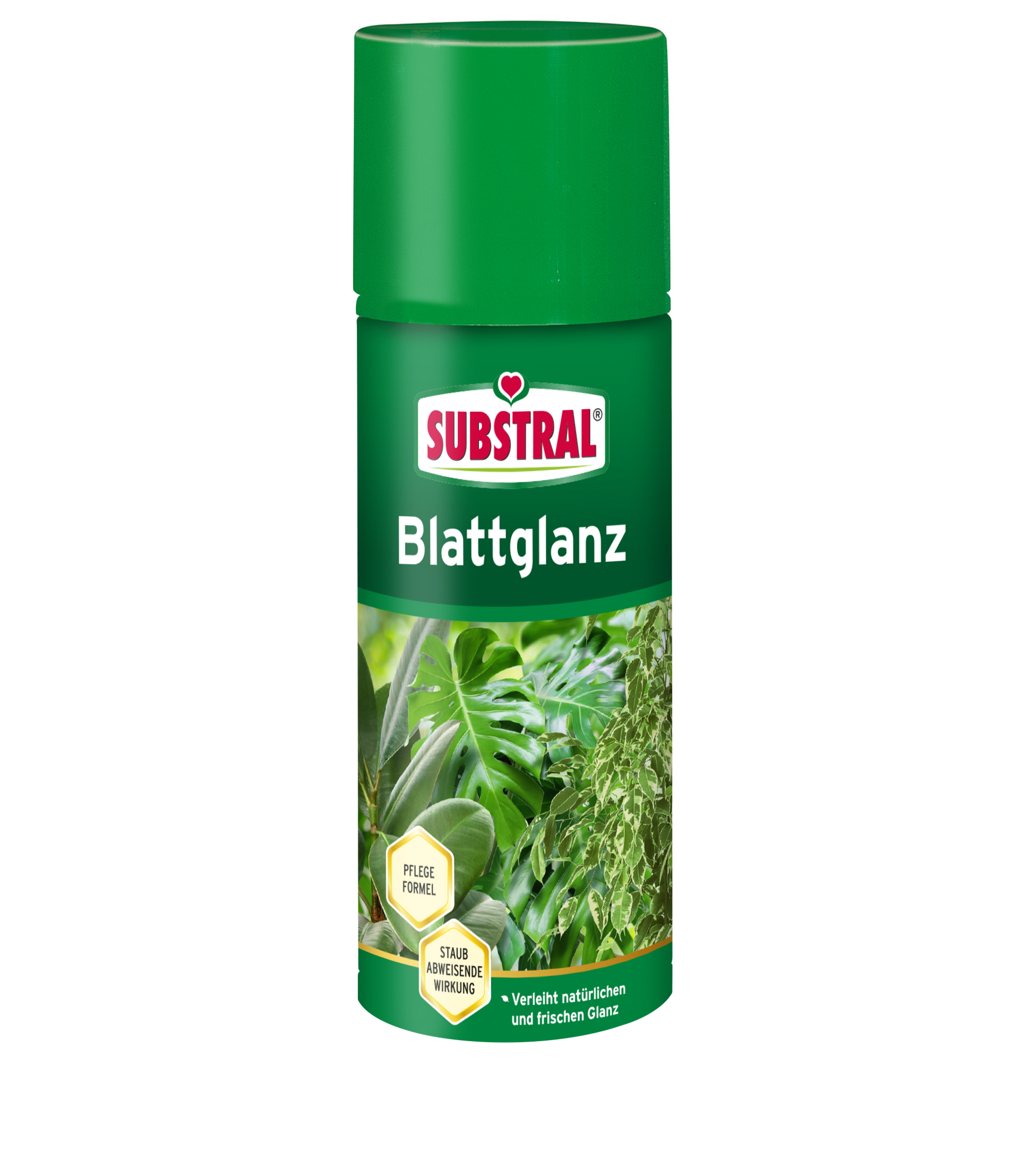 SUBSTRAL Blattglanz