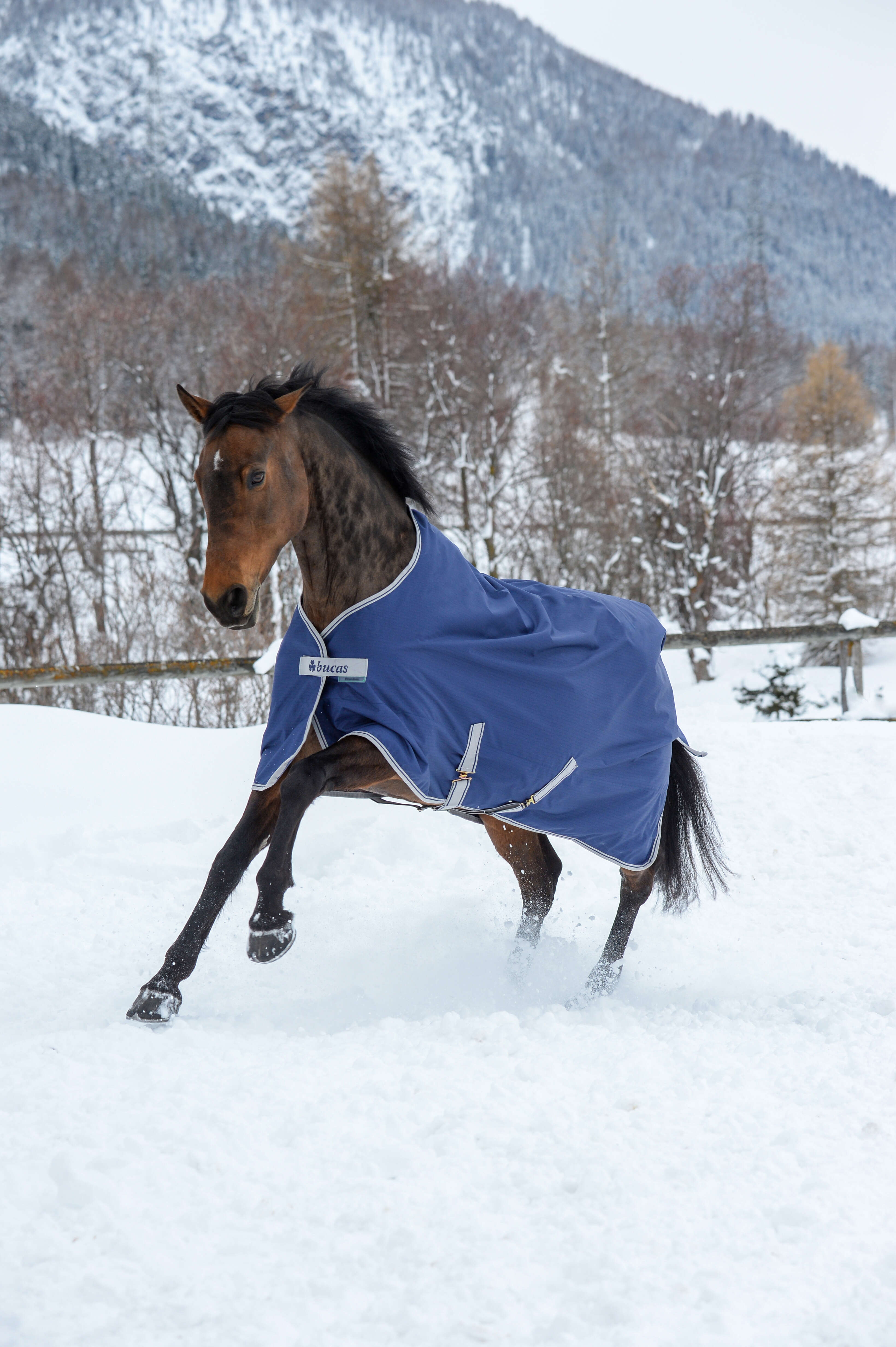 bucas Outdoordecke Freedom Turnout 300 g