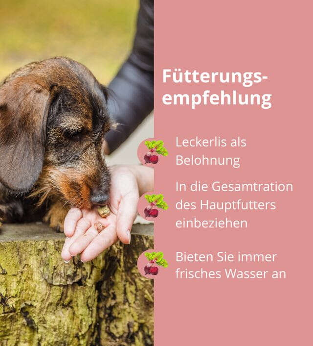 Höveler DOG Pur.SNAXX Rind + Joghurt