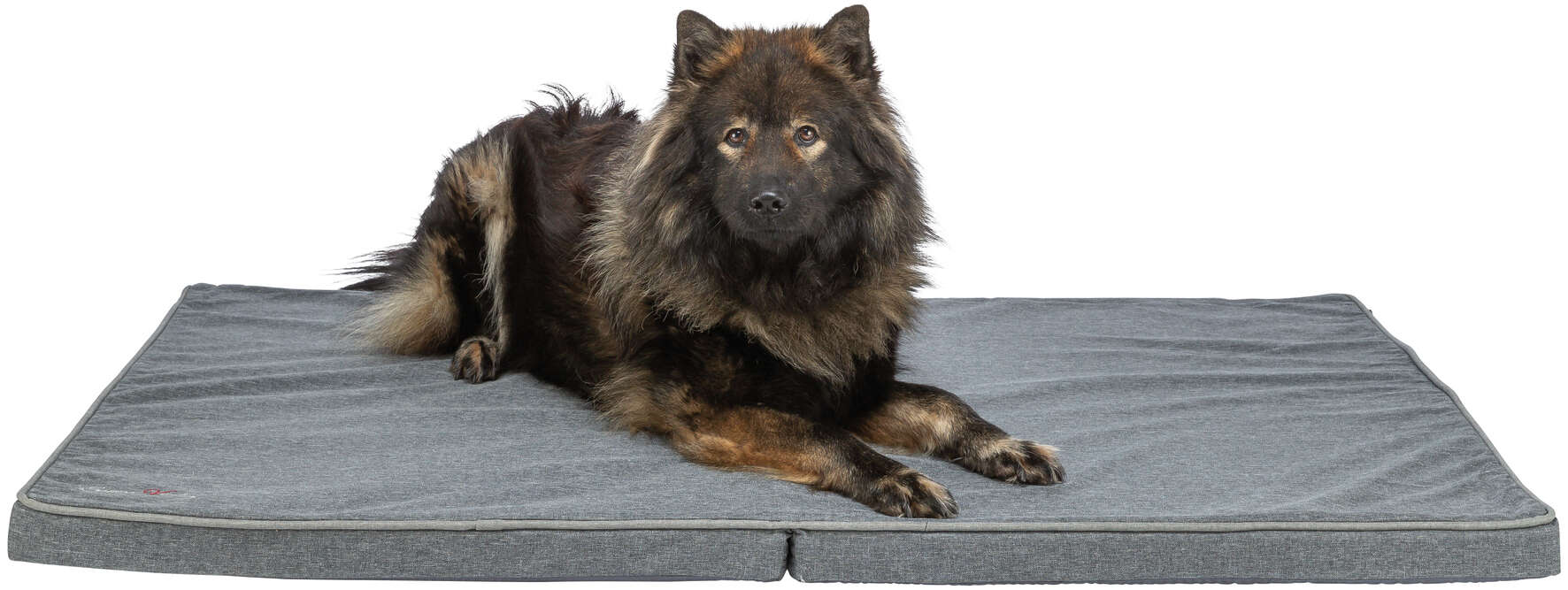 Trixie Samoa Vital Hundebett – 100 X 80 Cm, Grau | Mit Memory-Schaum, Weich & Robust