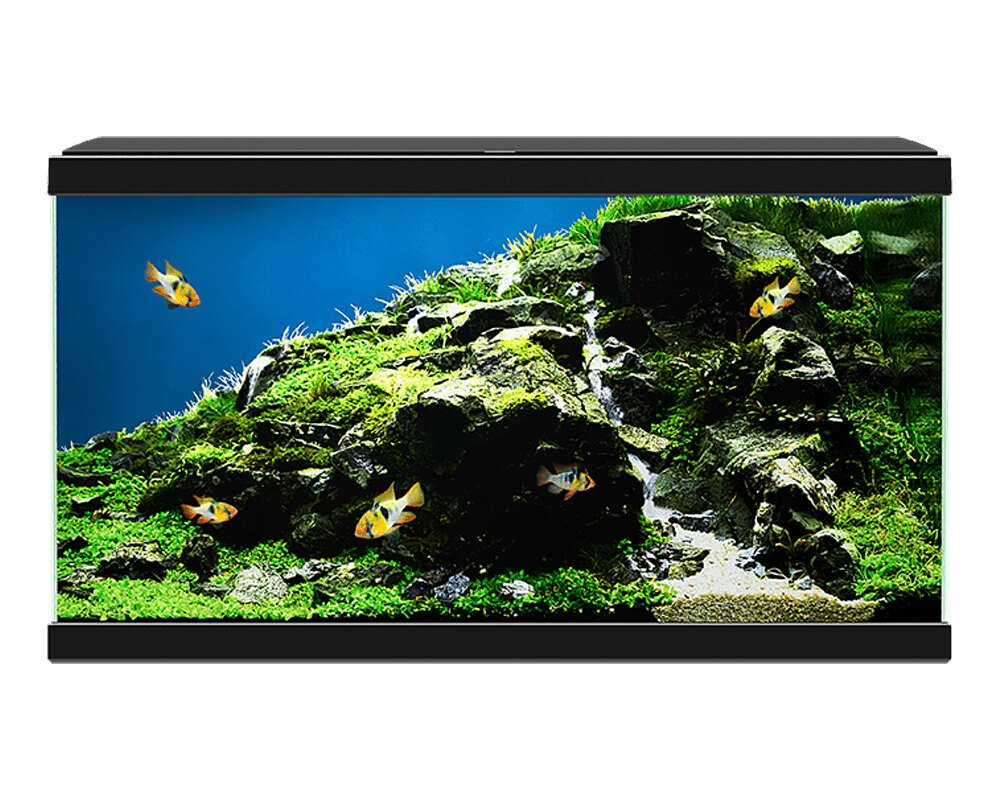 CIANO Aquarium 60