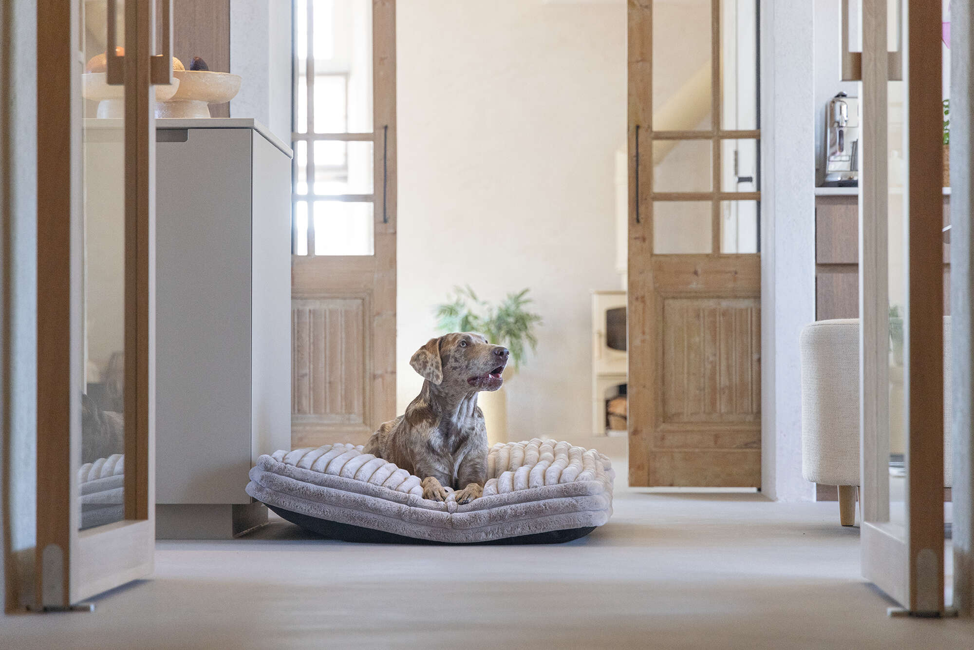 Designed by Lotte Hundekissen Reza