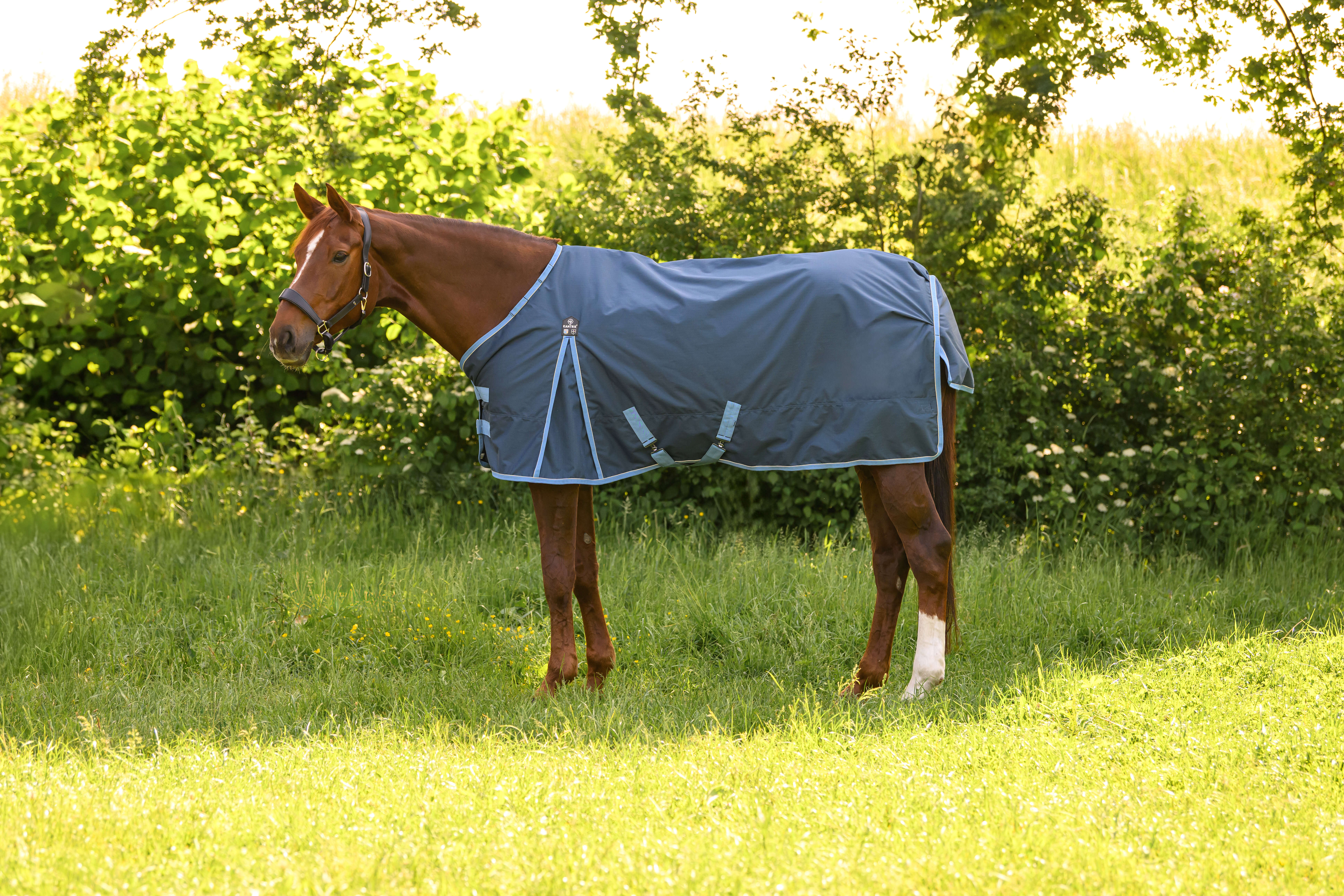 KANTRIE Outdoordecke Essential Light