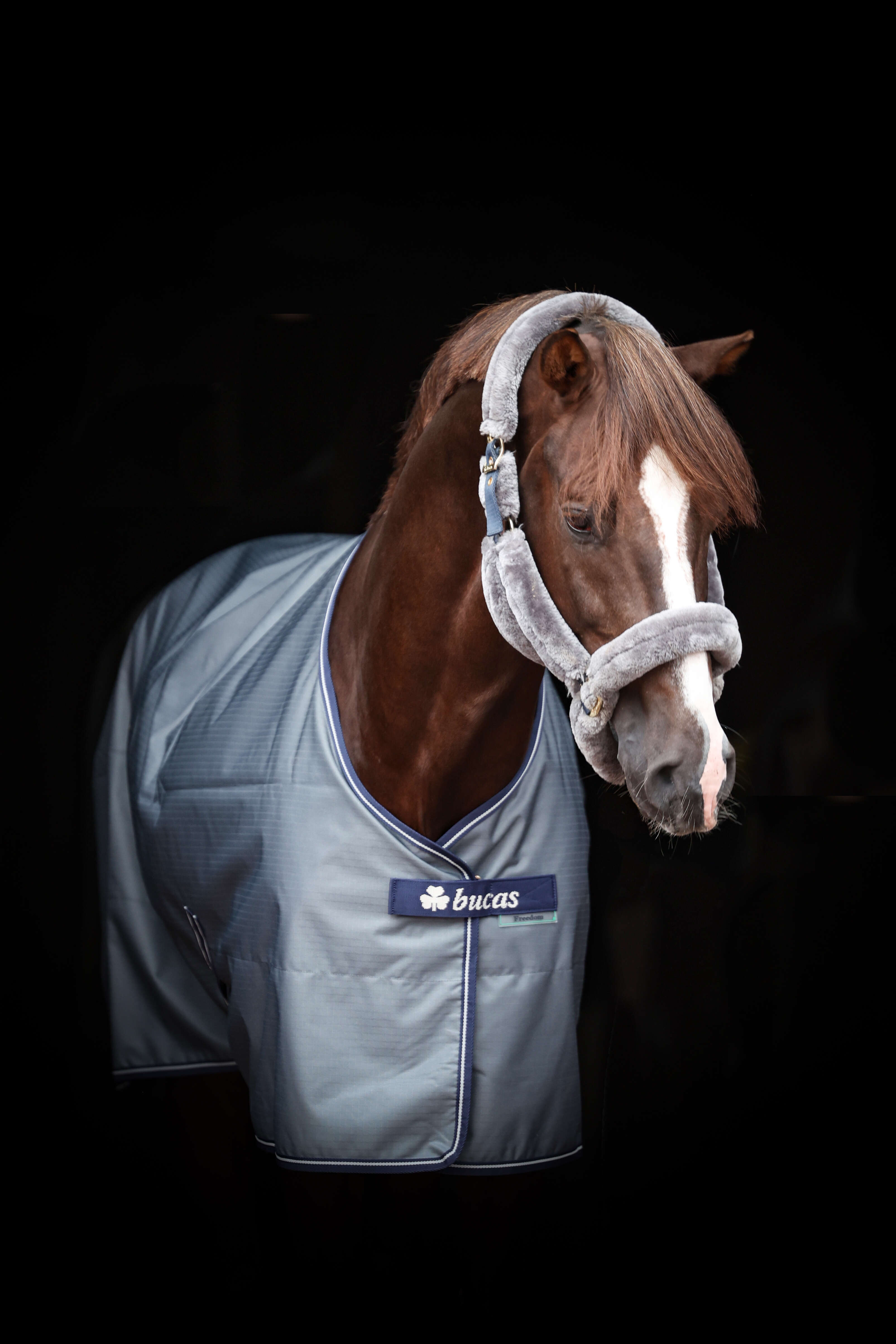 bucas Outdoordecke Freedom Turnout 0 g