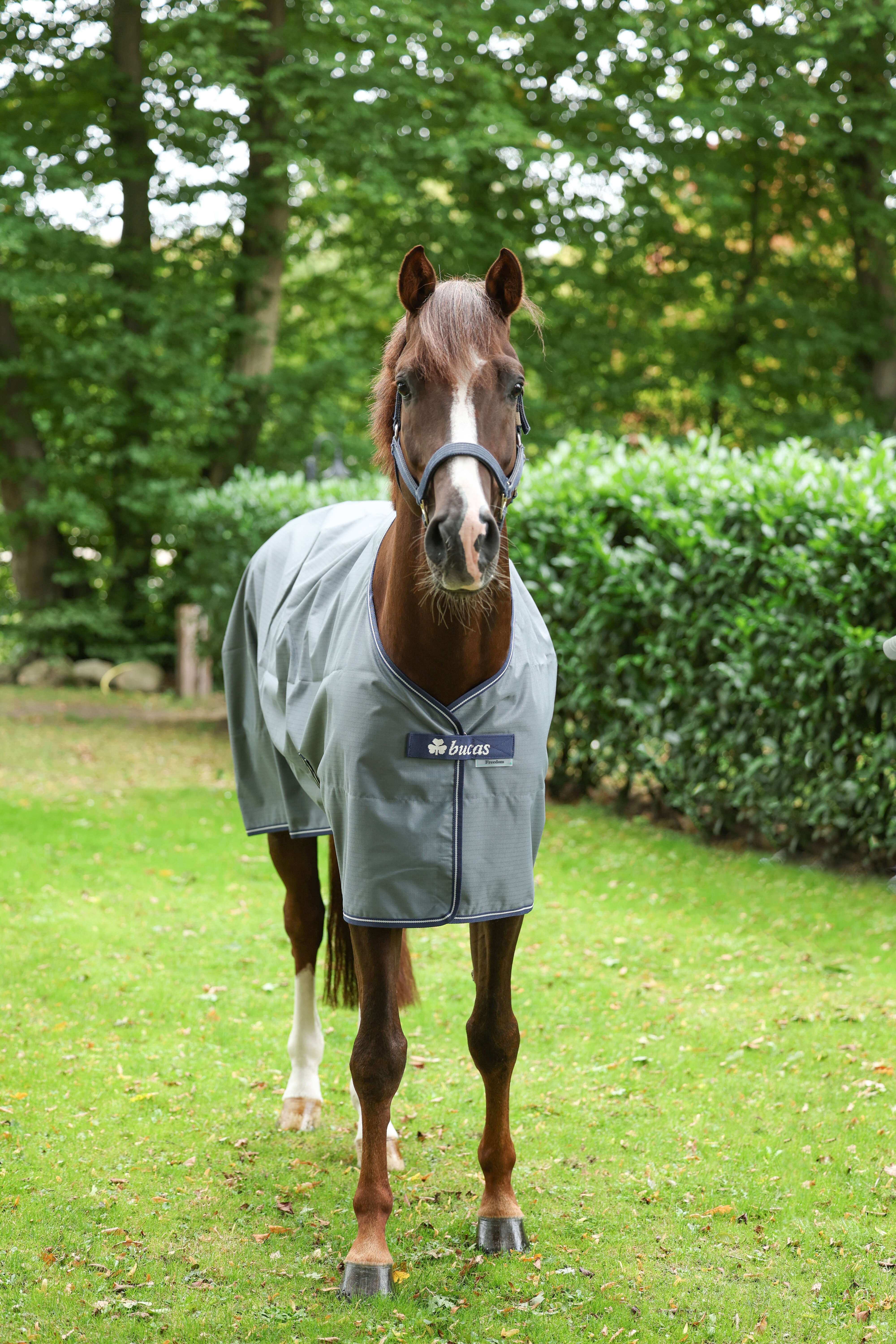 bucas Outdoordecke Freedom Turnout 0 g