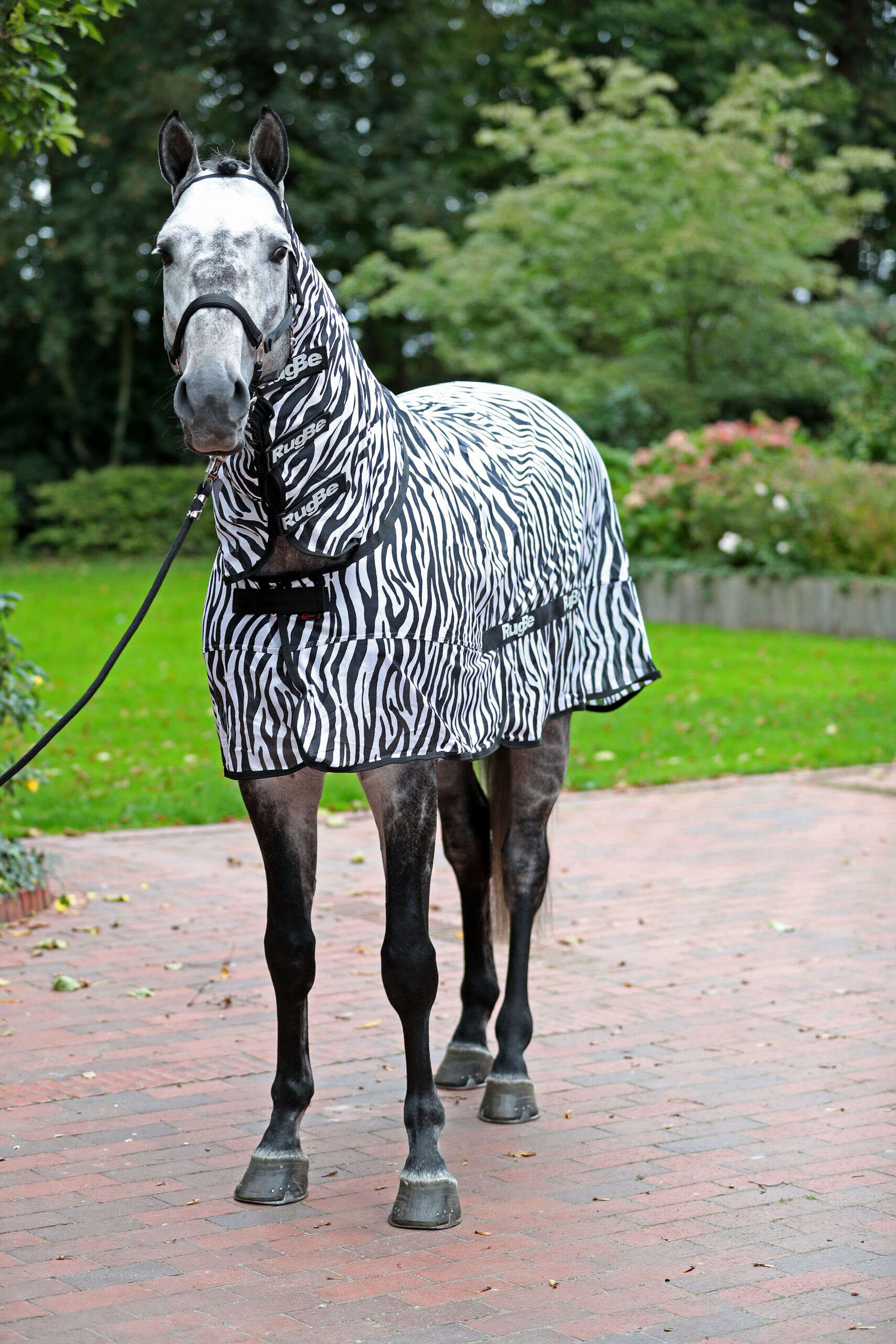 Covalliero Fliegendecke RugBe Zebra mit Halsteil