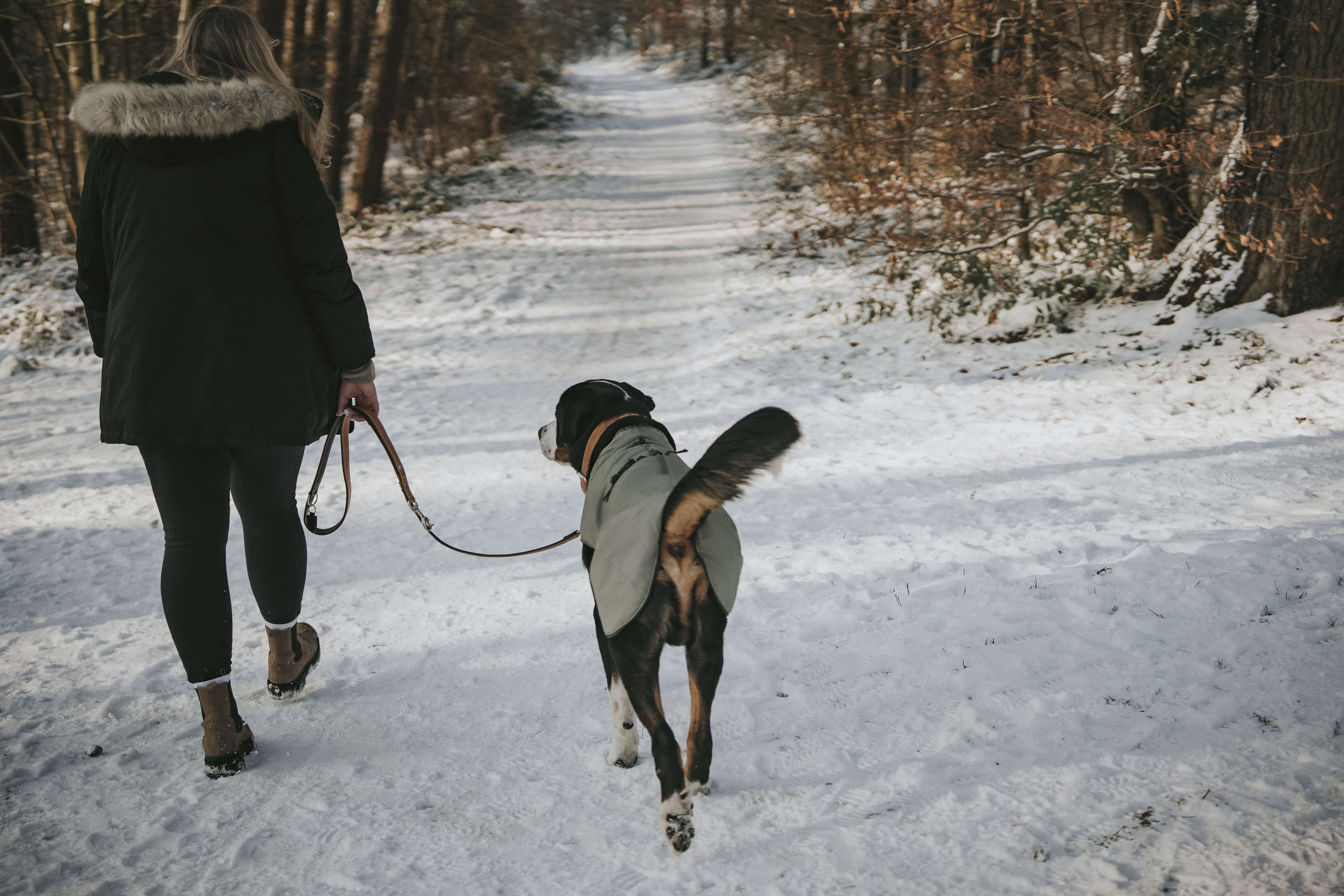 HUNTER Hundemantel Uppsala