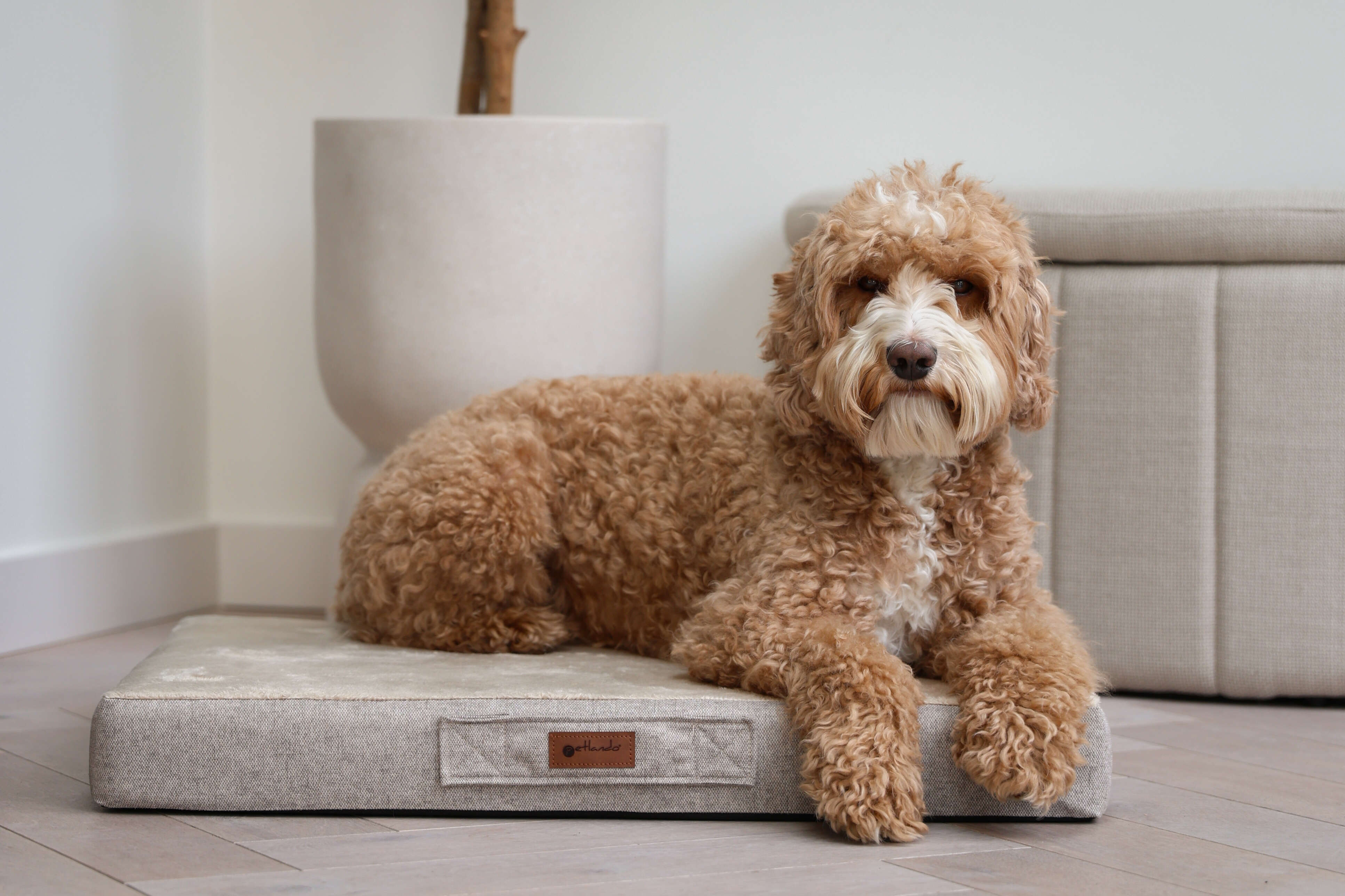 Tierlando Carlos Ortho-Medic Hundematratze 120x90cm Graphit - Visco Memory  Foam Orthopdisch