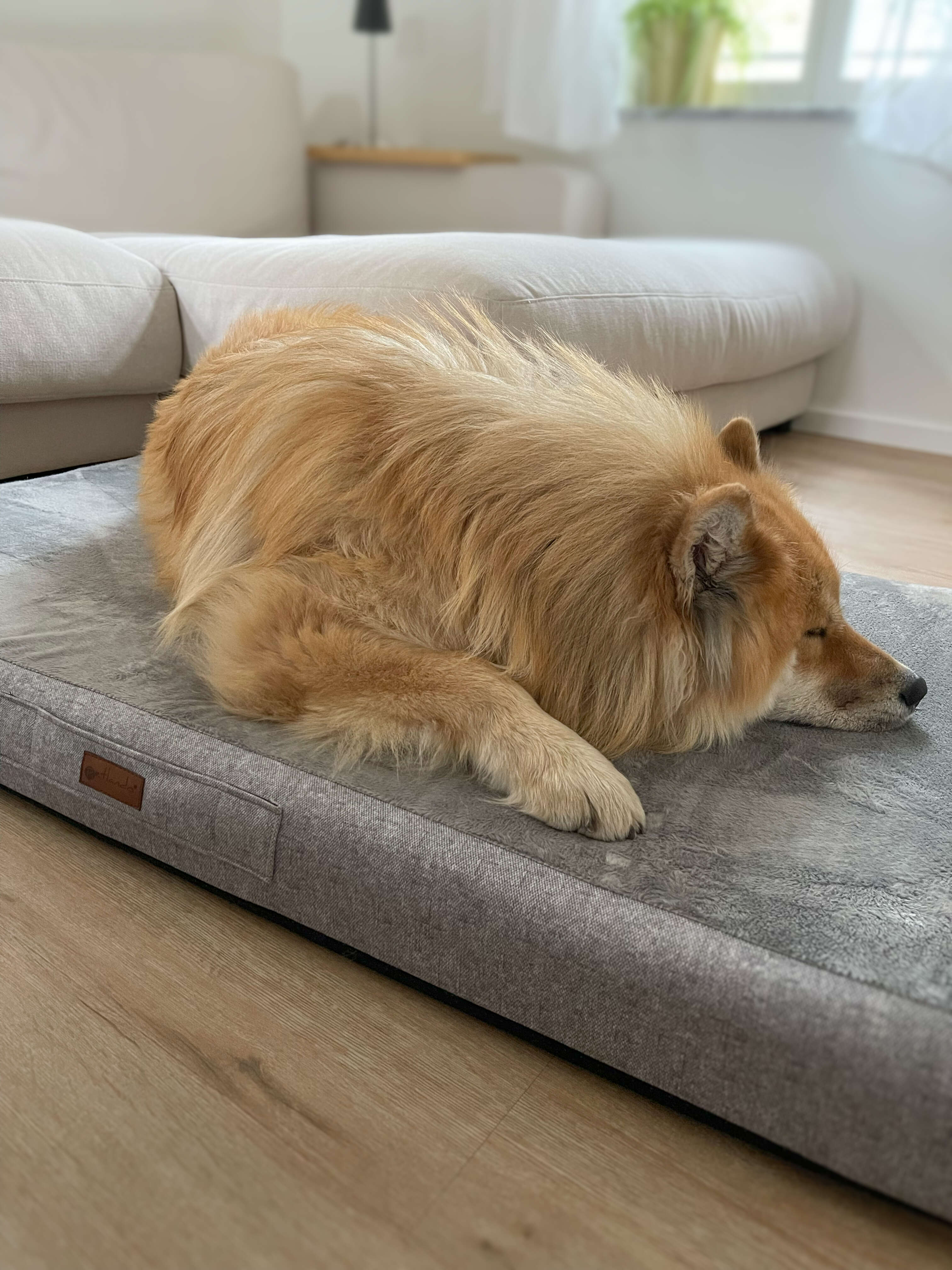 petlando Orthopädisches Hunde-Kissen "Merano"