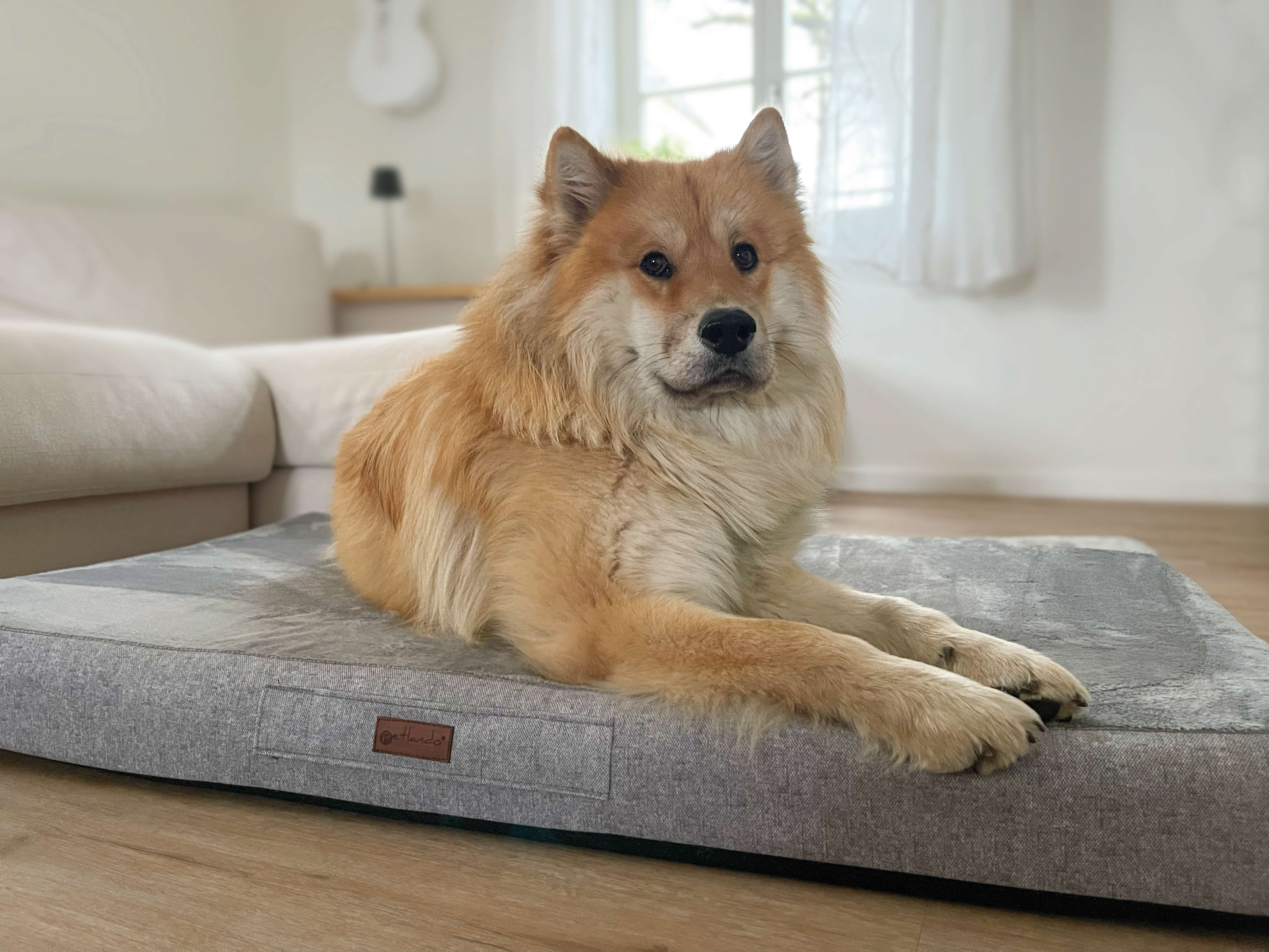petlando Orthopädisches Hunde-Kissen "Merano"