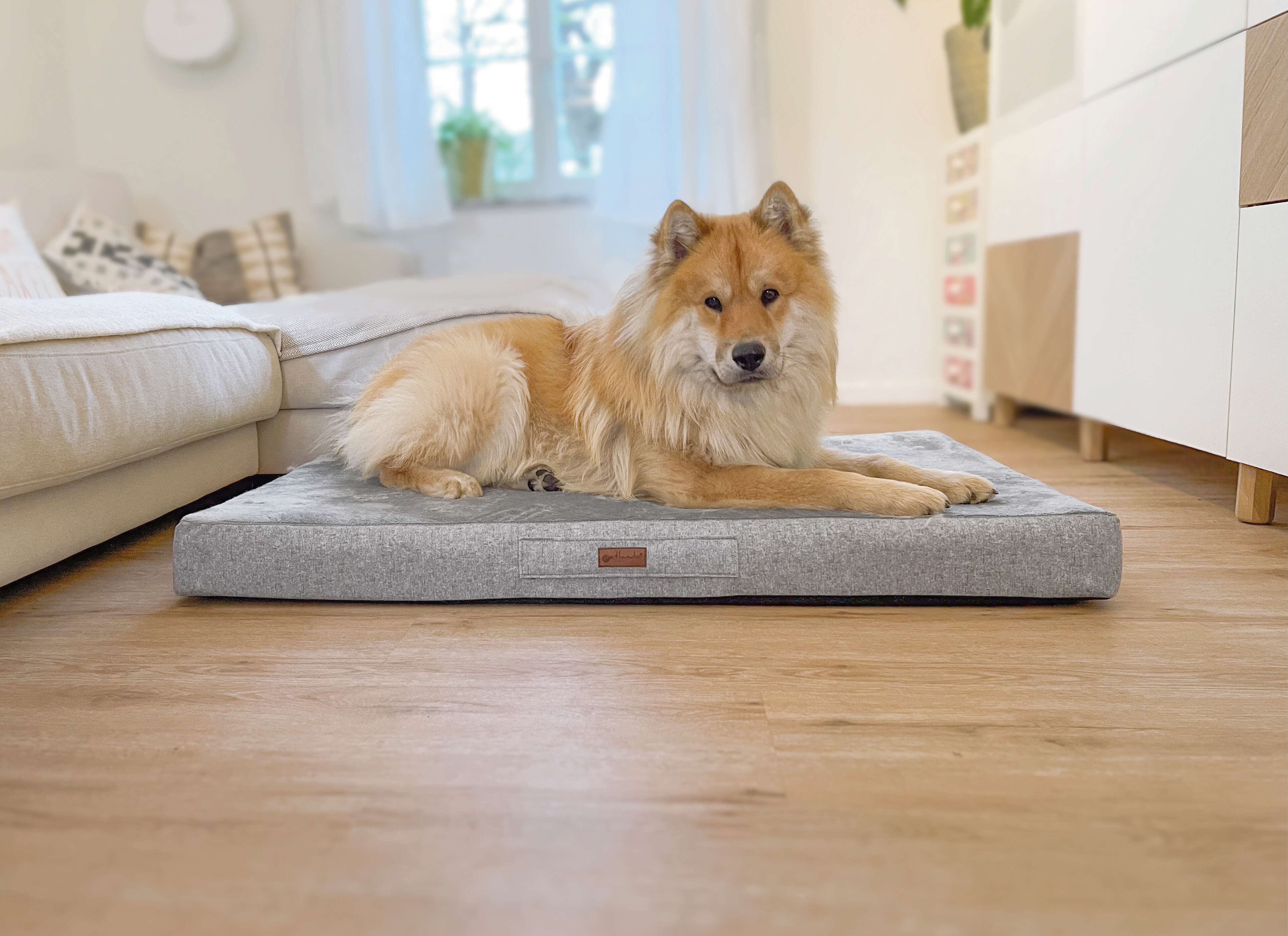 petlando Orthopädisches Hunde-Kissen "Merano"