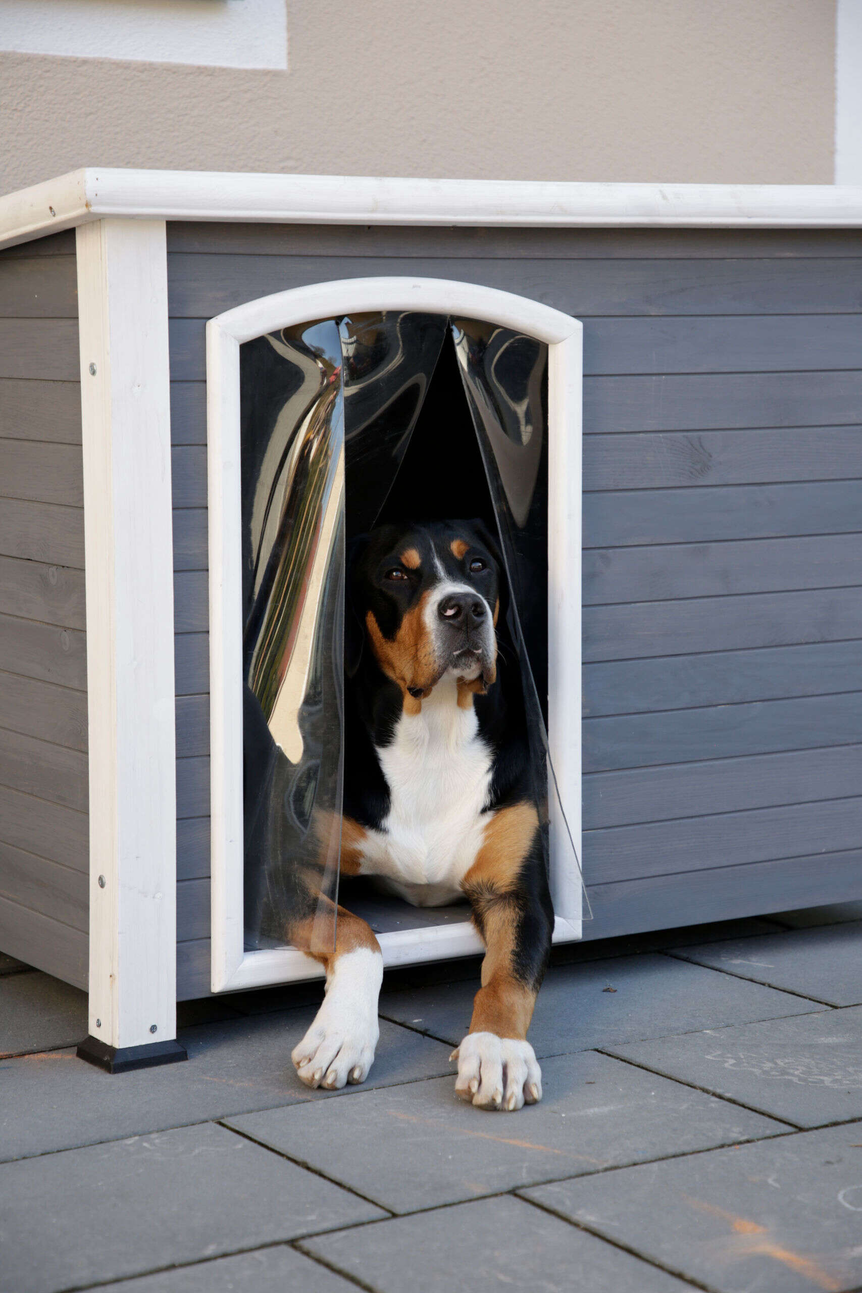 KERBL Hundehütte Kenny