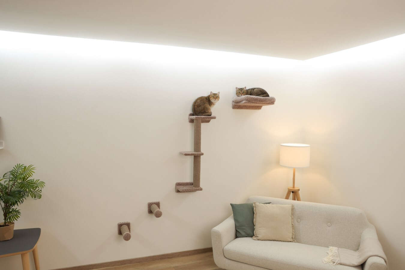 KERBL Kratzbaum Monte Alpi Katzen