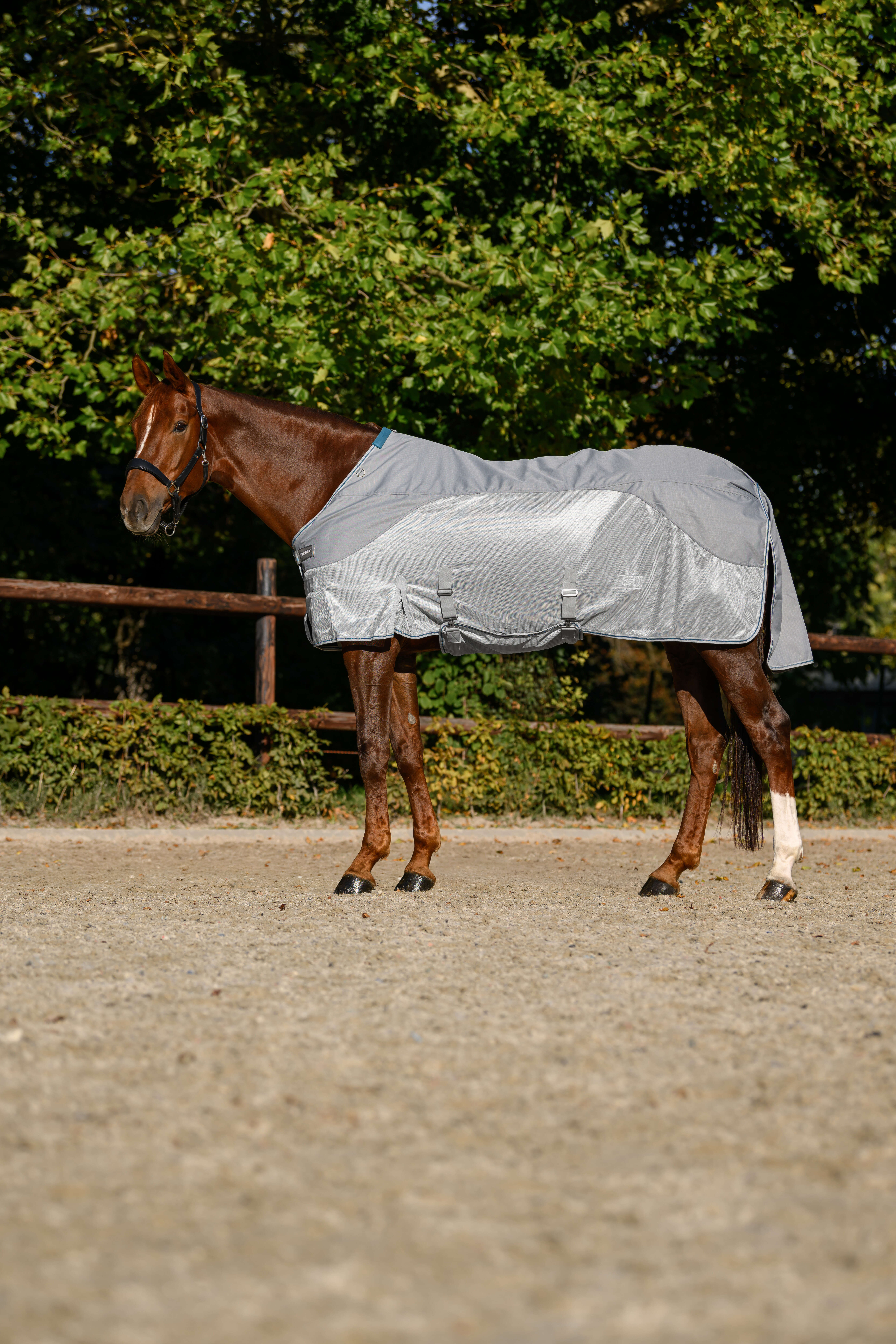 KANTRIE Regen-Fliegendecke Protect
