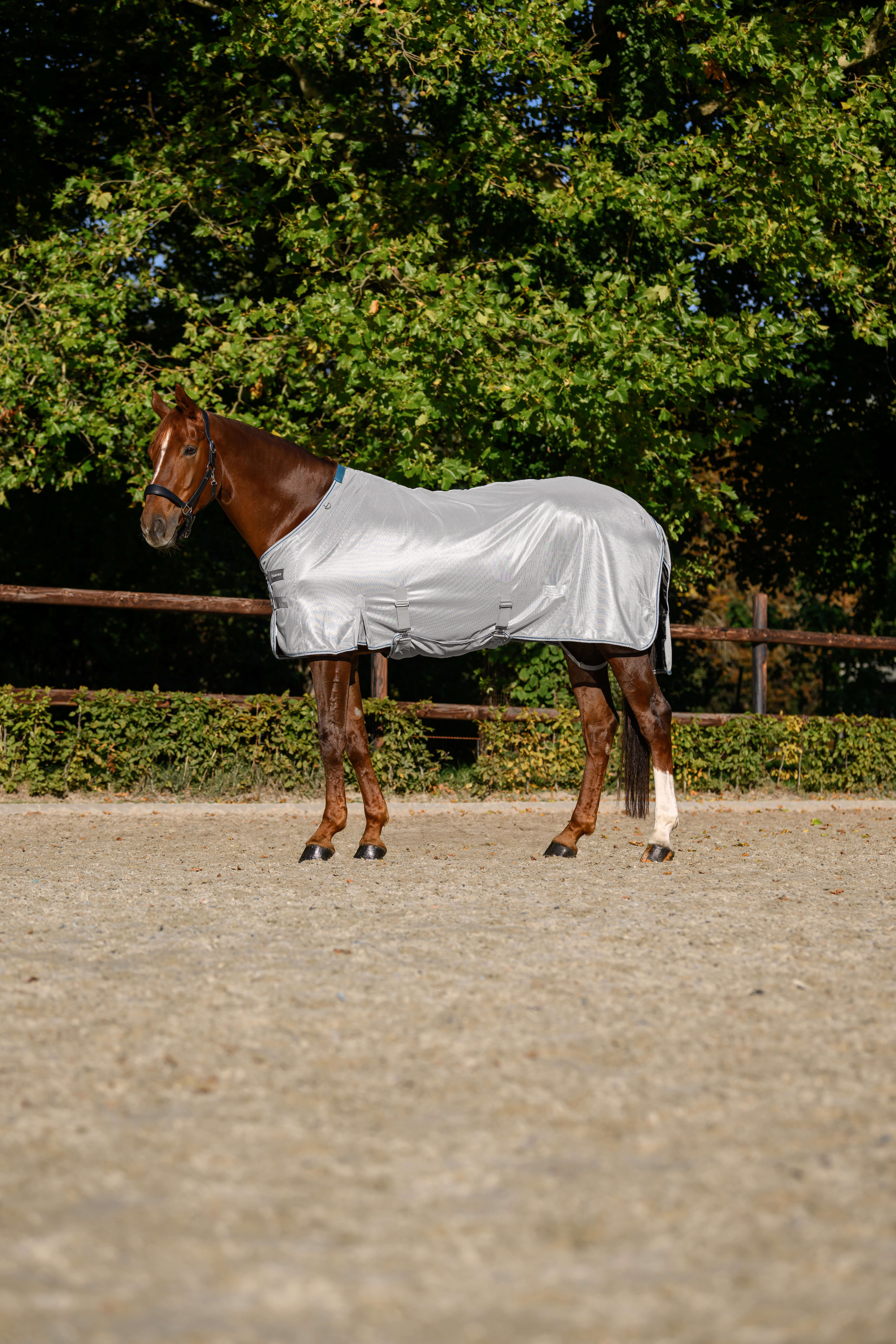 KANTRIE Fliegendecke Protect Plus