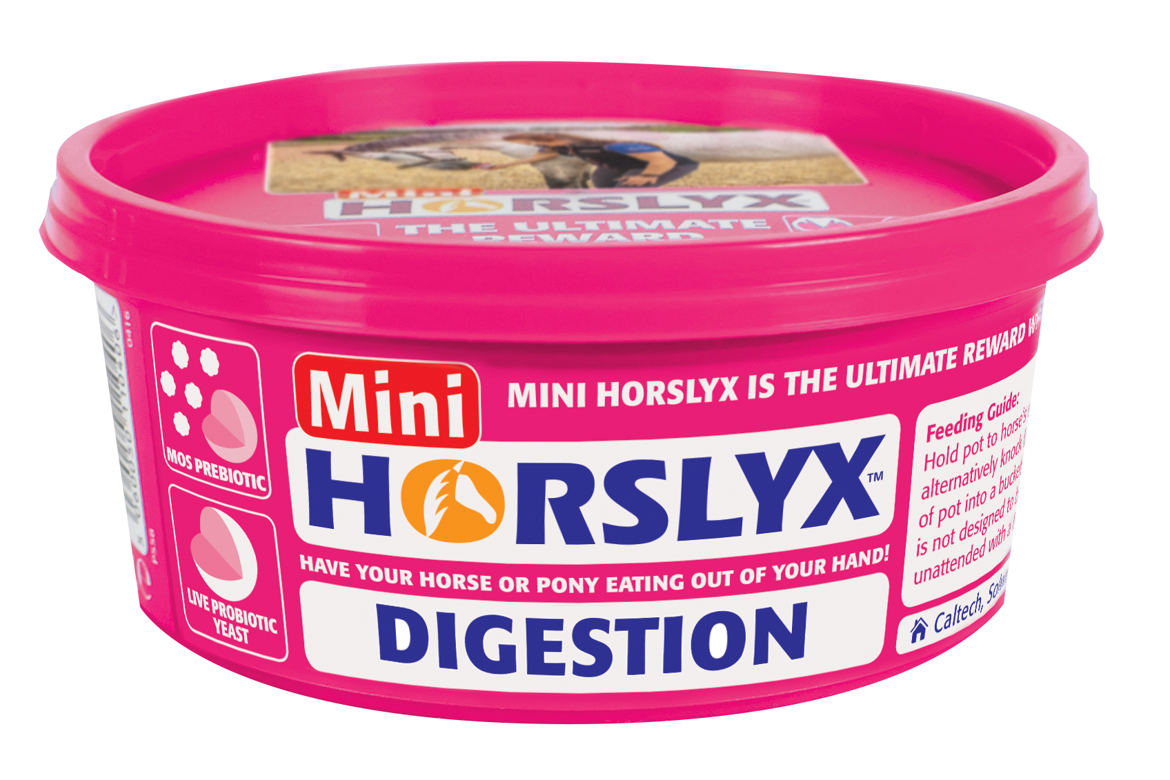 HORSLYX Digestion