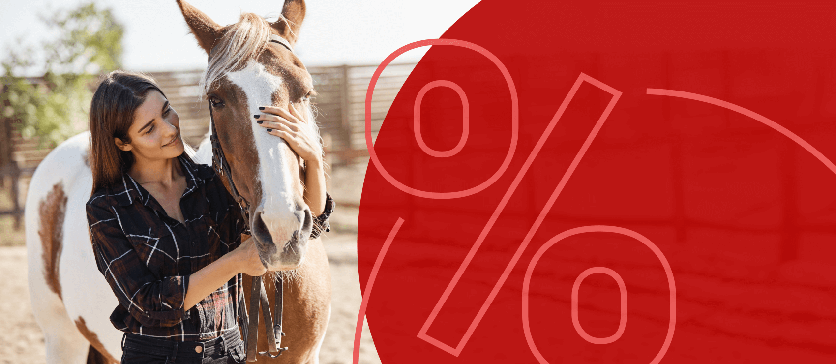 frau mit pferd weide zaun sale prozent preiskracherbild