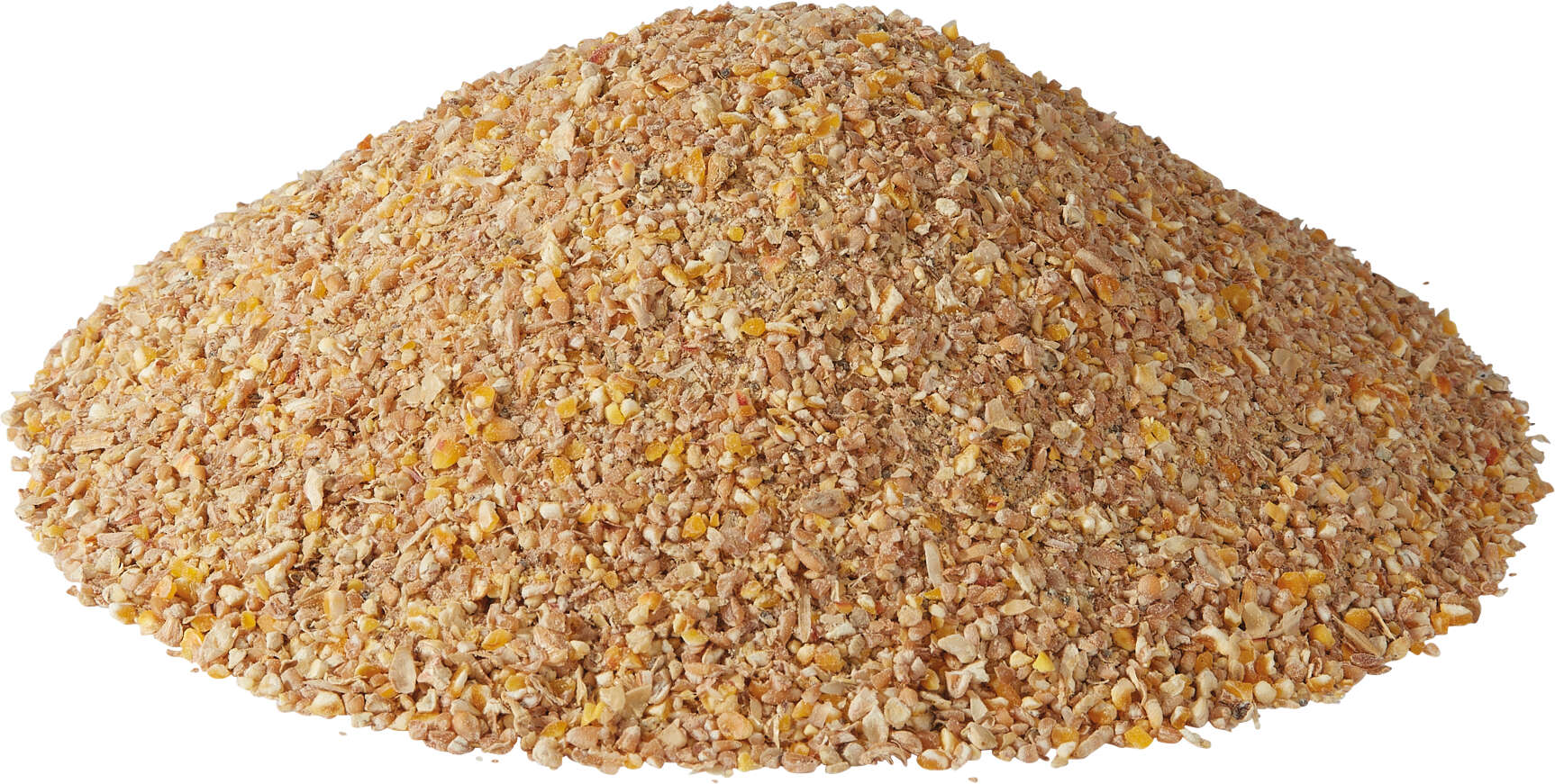 GoldDott Eier Vollkorn