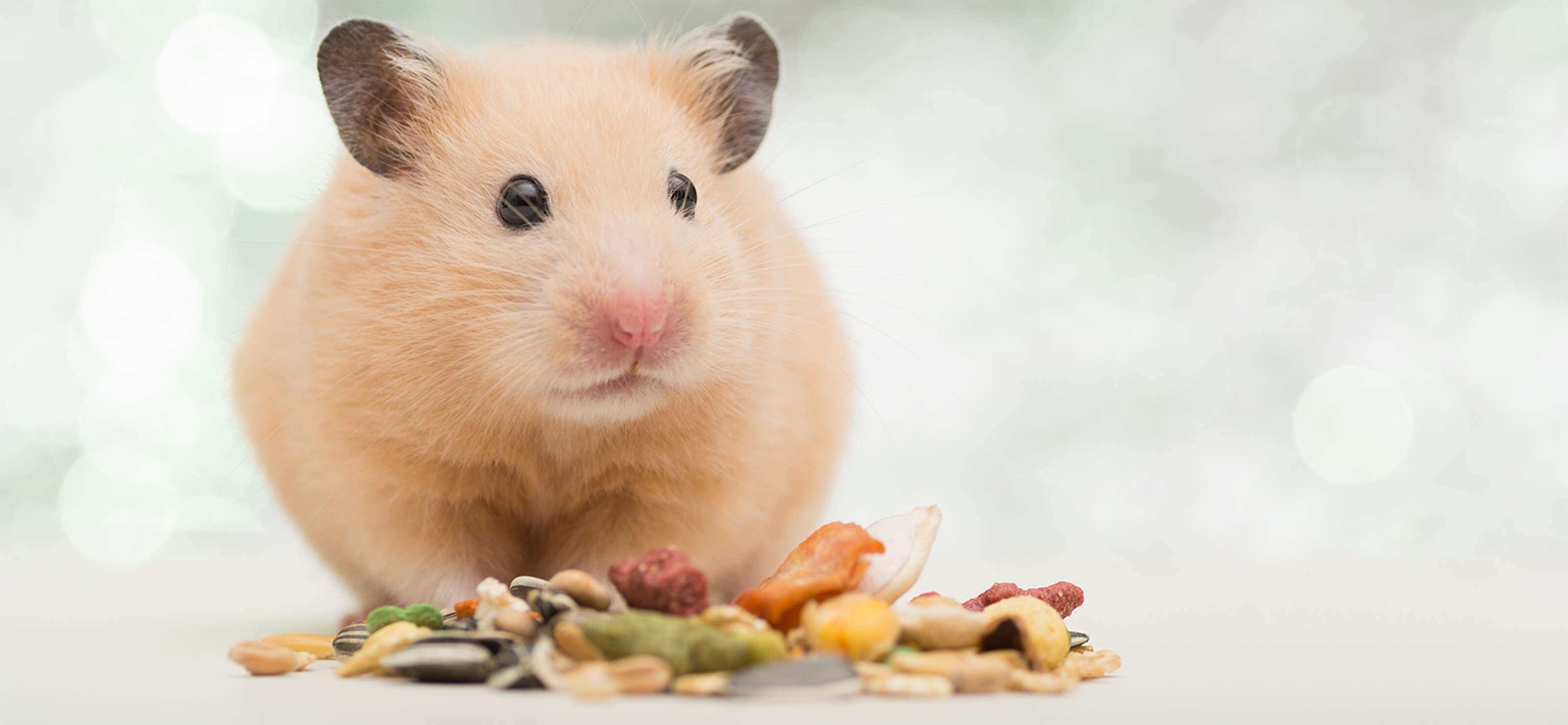 muemmel snacks