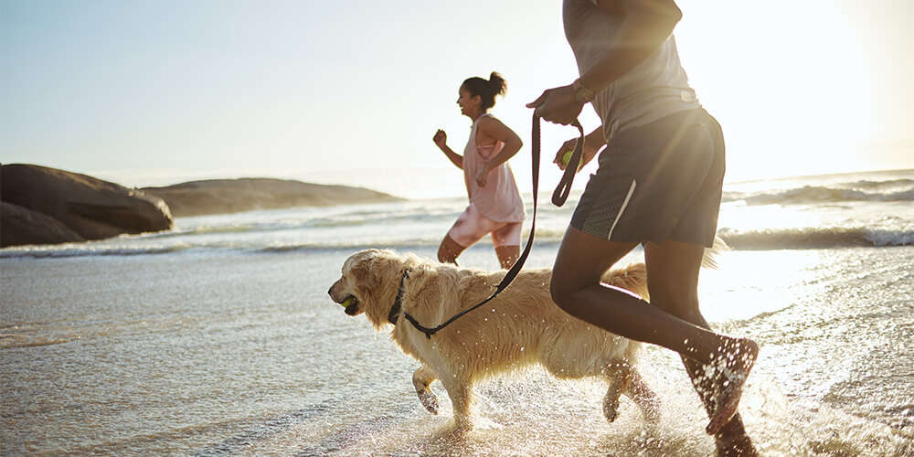mann frau hund am strand laufen durchs wasser 1000x500