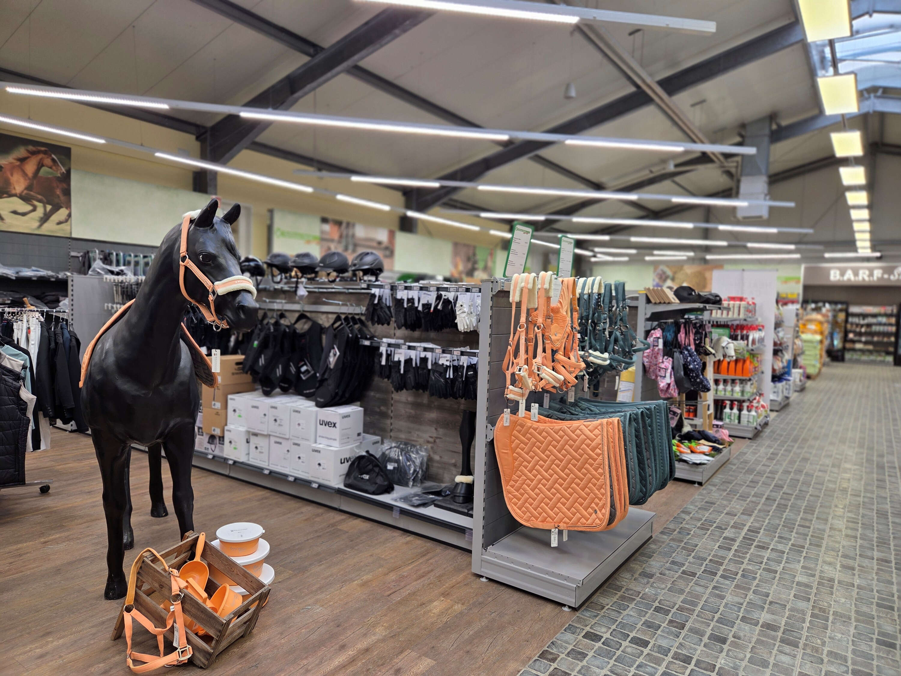 Reitsport 2026 02