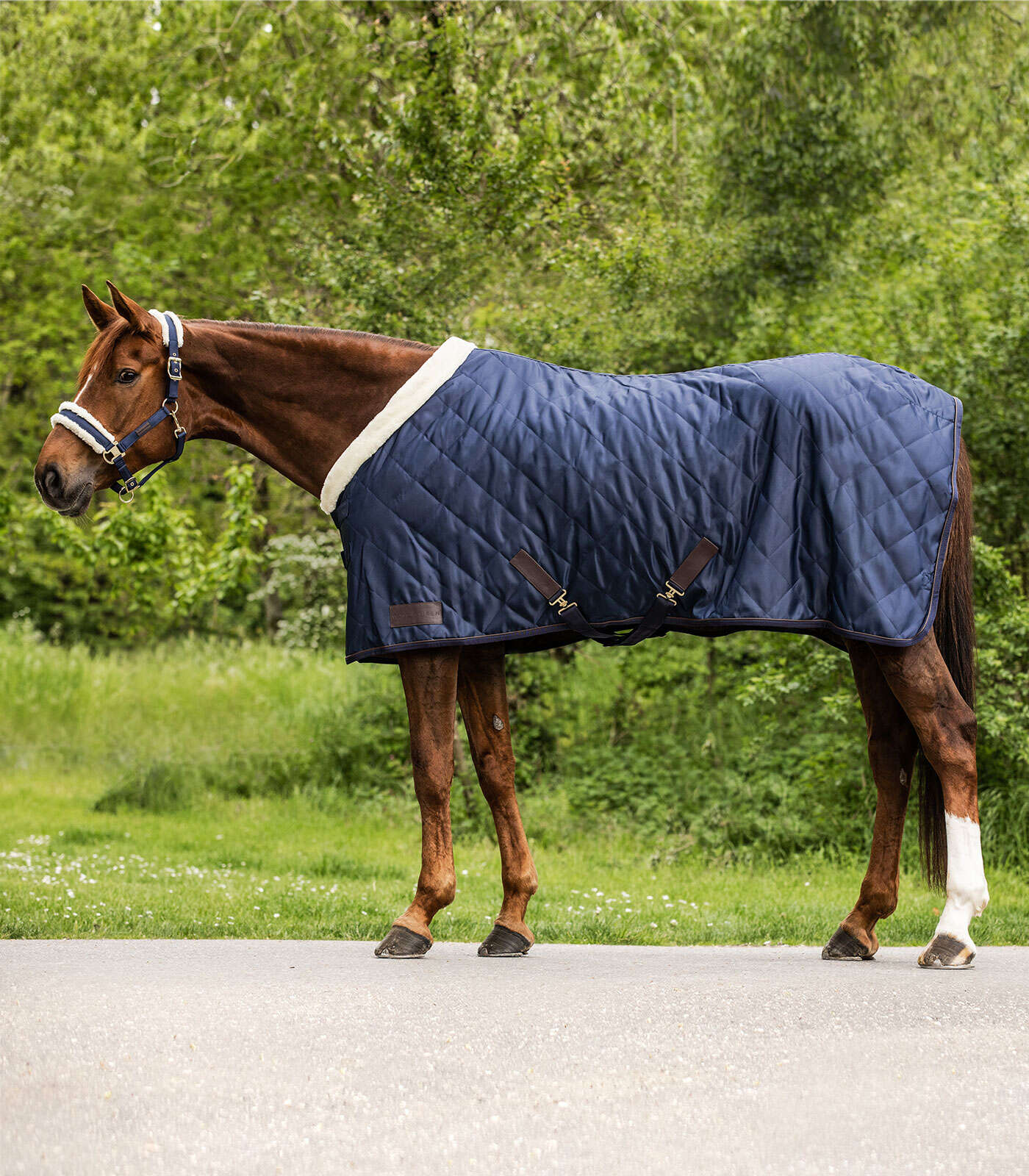 WALDHAUSEN Transportdecke Exclusive 50 g