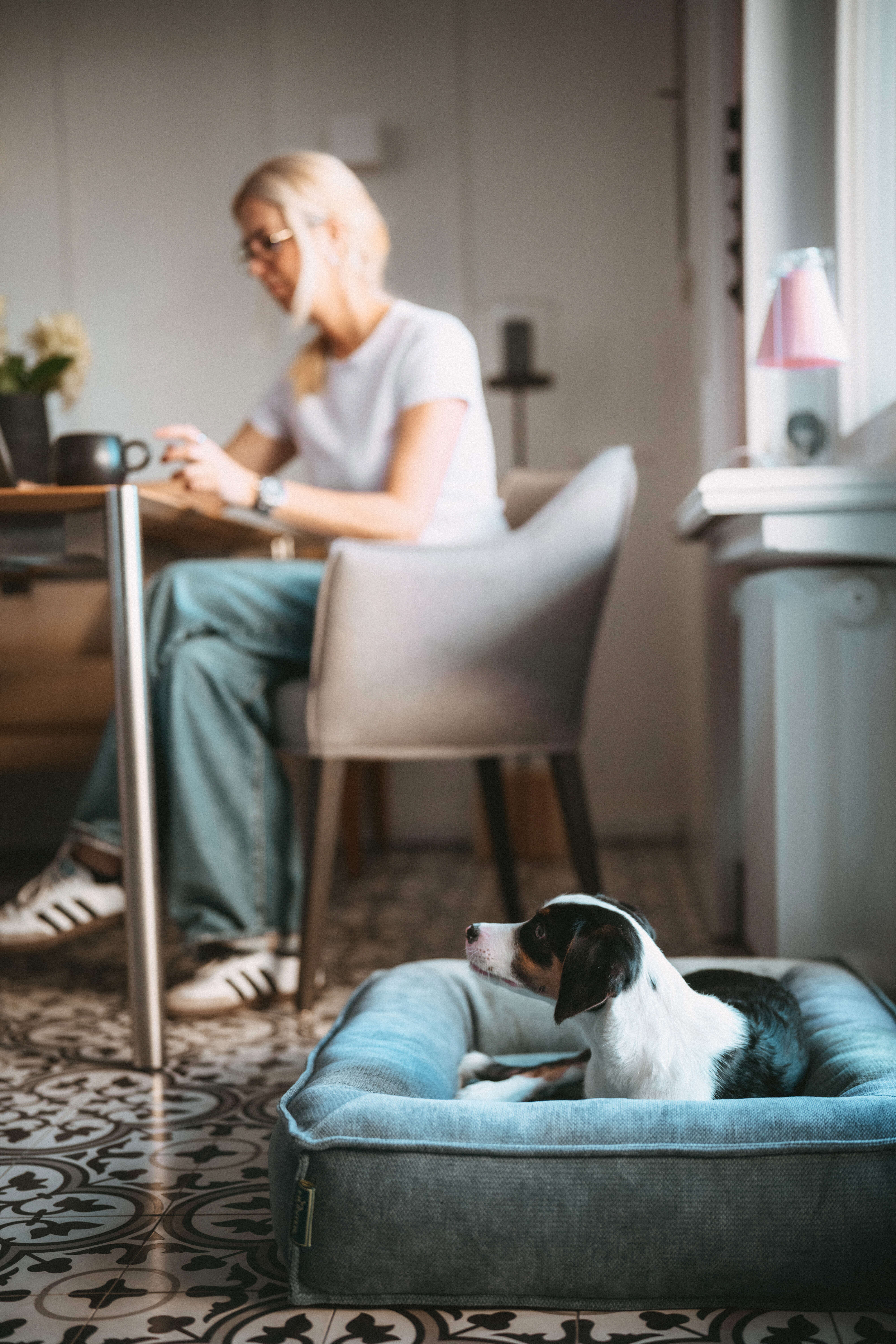 HUNTER Orthopädisches Hundebett Melun
