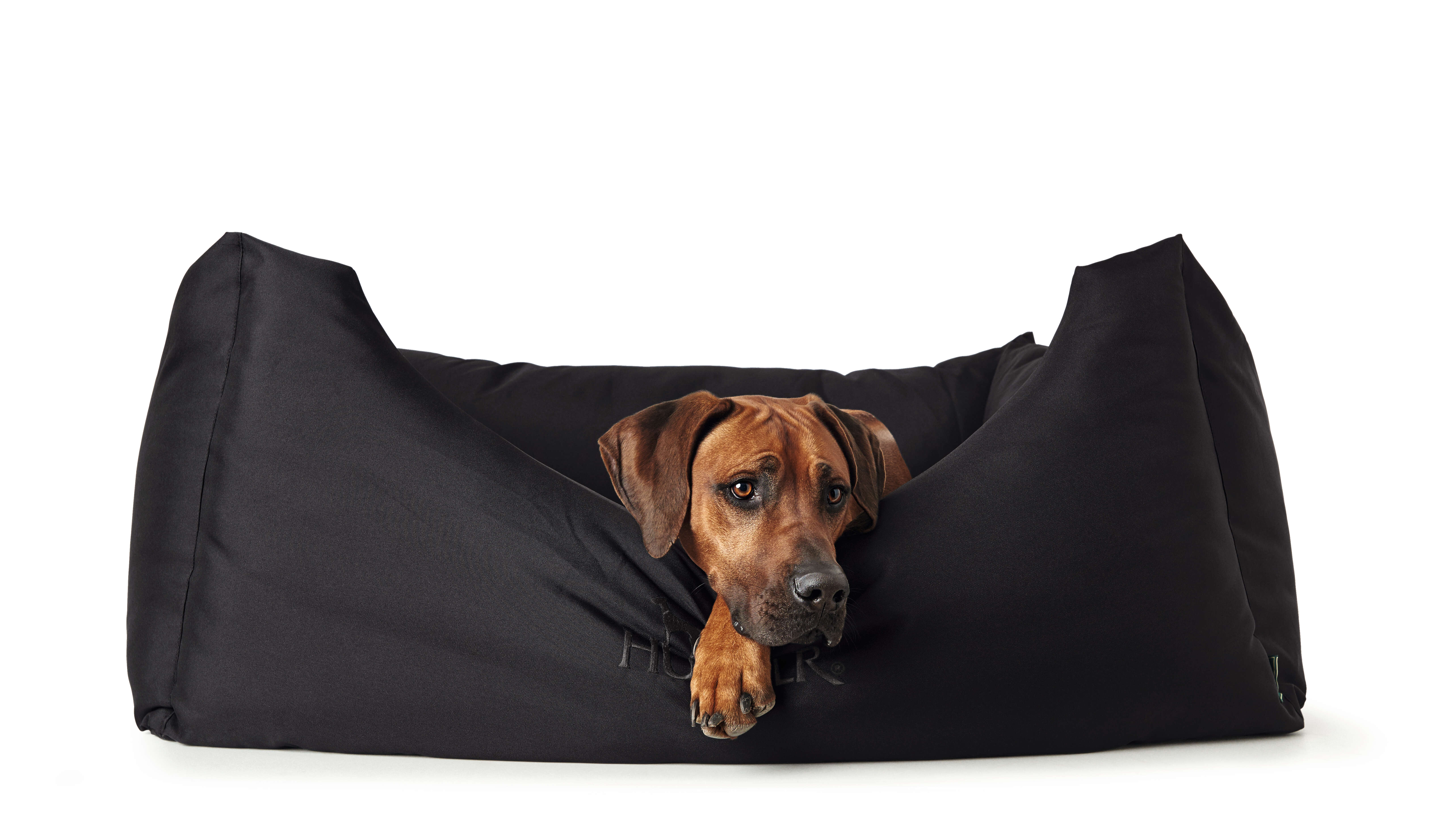 HUNTER Hundesofa Gent