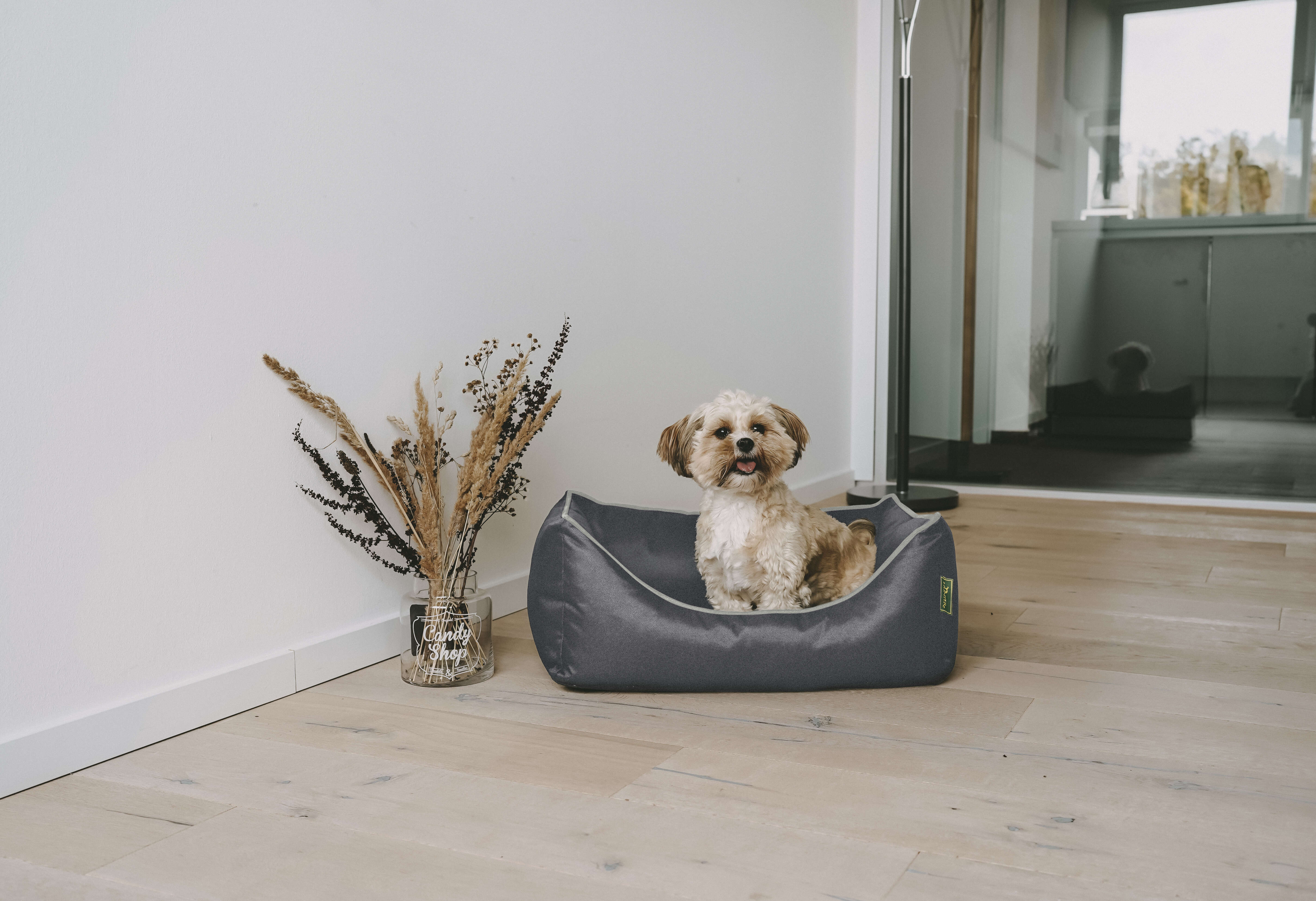 HUNTER Orthopädisches Hunde-Sofa Cleveland
