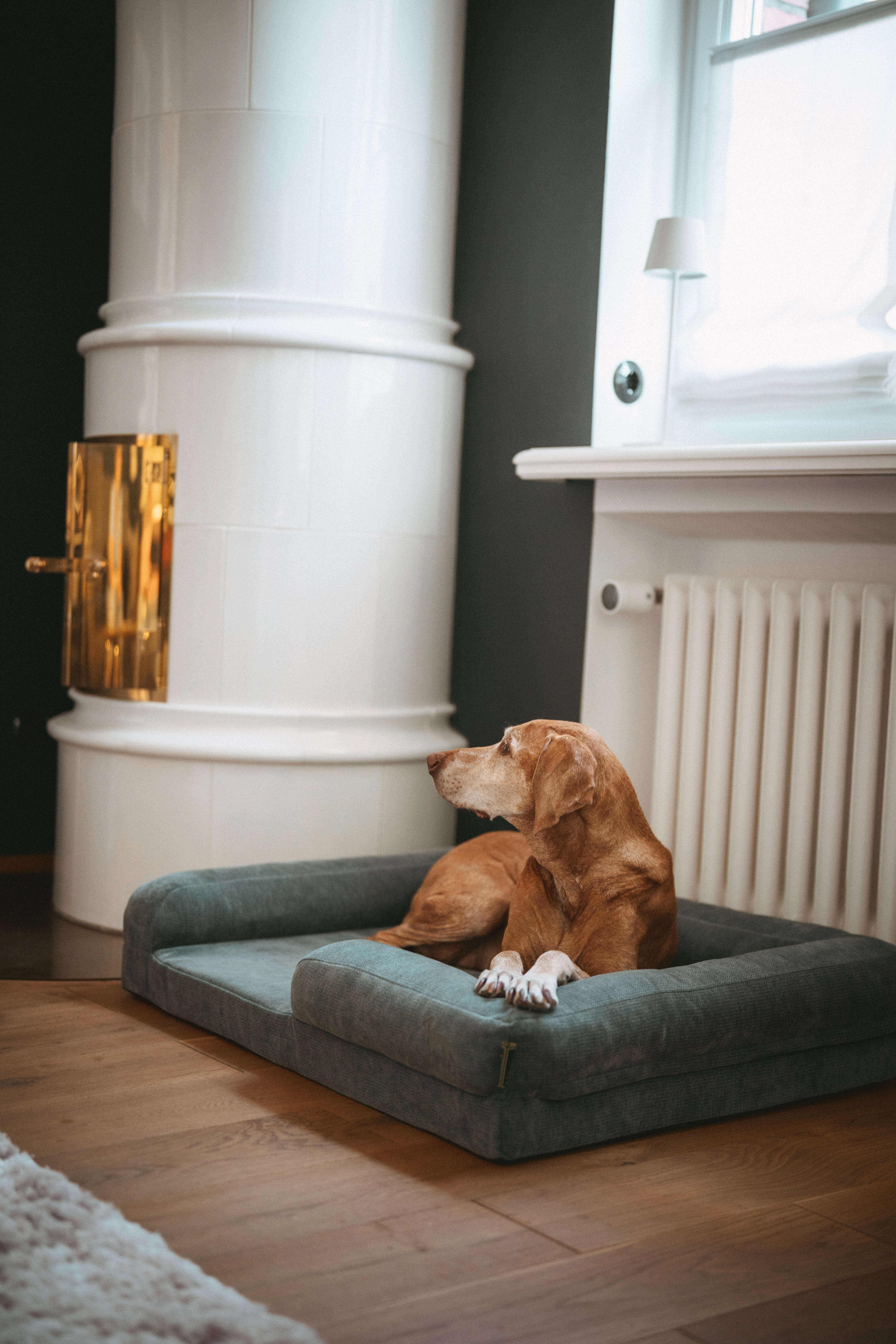 HUNTER Orthopädisches Hunde-Sofa Melun