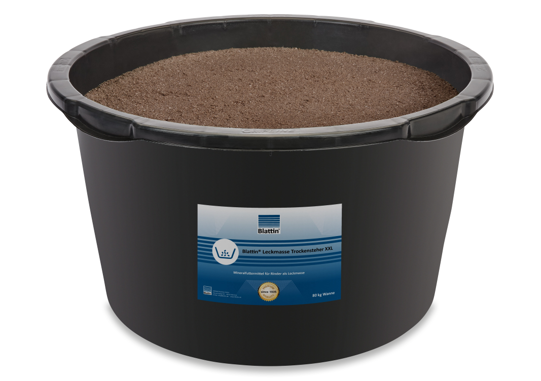 Blattin LM Trockensteher - Mineralfutter