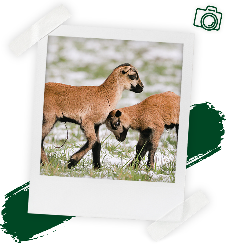 landflair fotowettbewerb 720x804