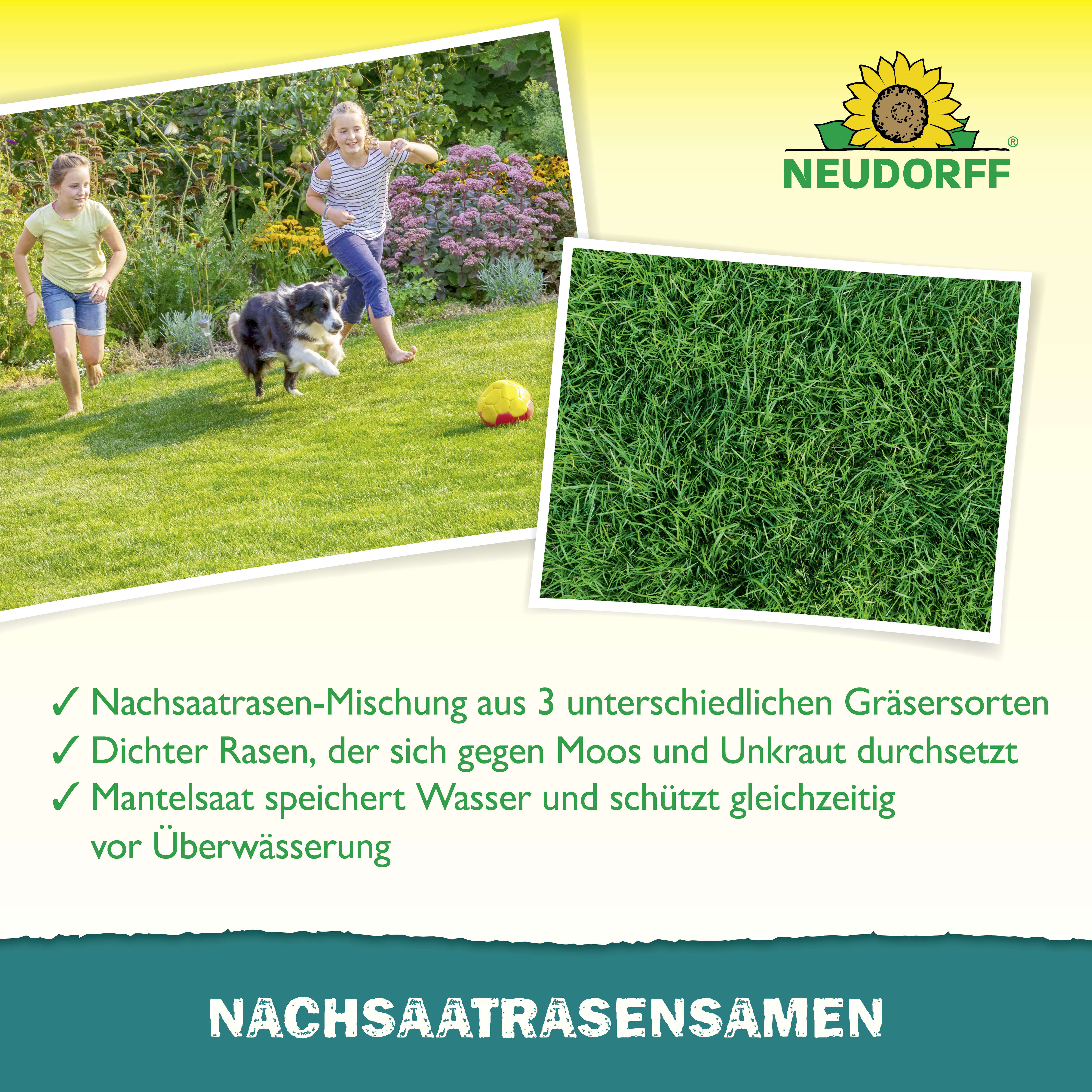 NEUDORFF Nachsaat RasenSamen