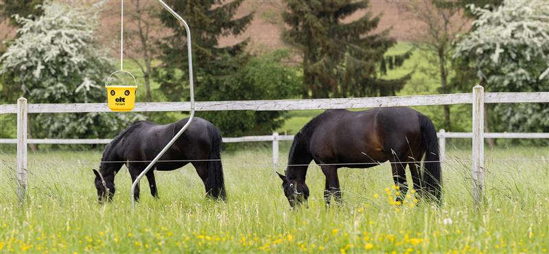 Rueckzugsorte für dein Pferd schaffen