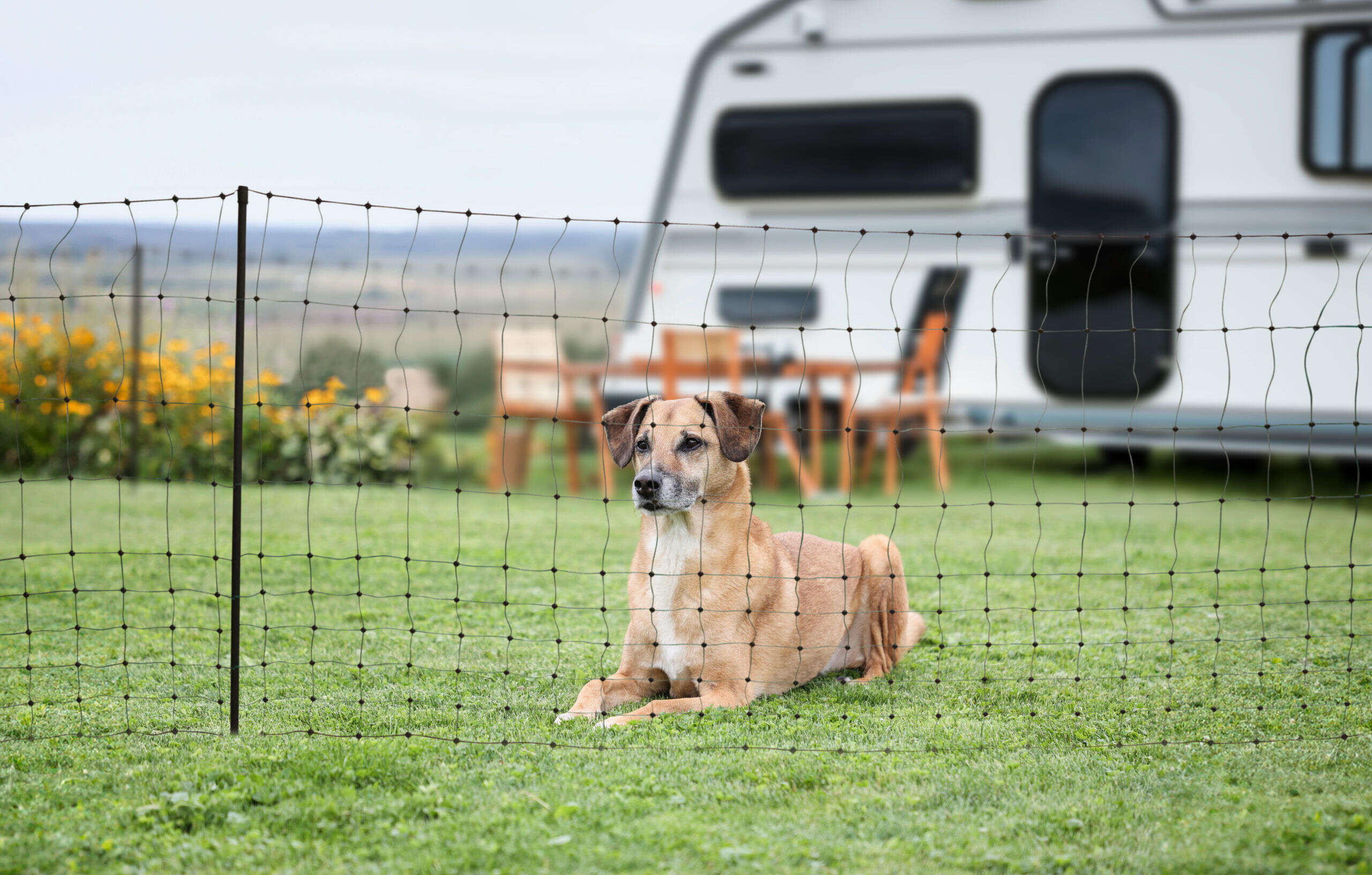 KERBL Begrenzungszaun Camping Net