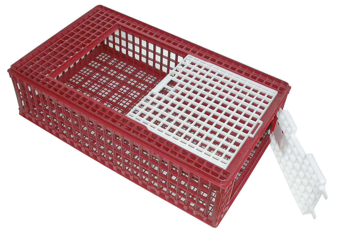 KERBL Geflügel-Transportbox