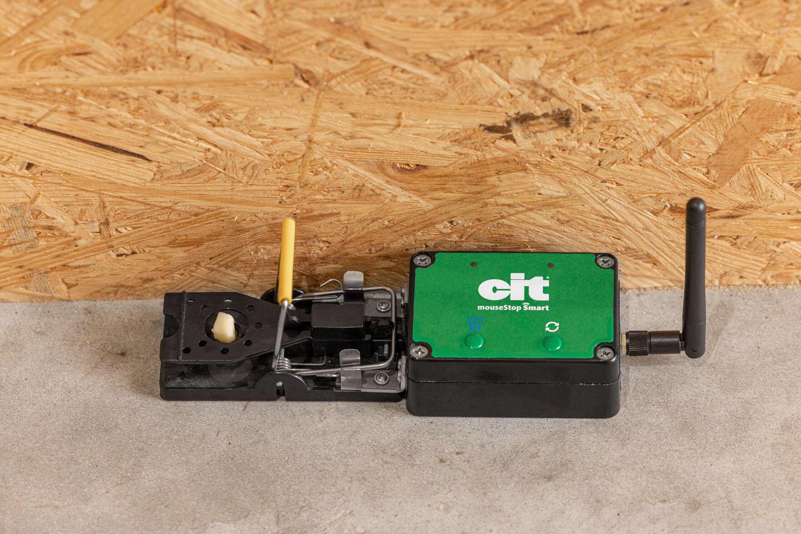 cit mouseStop Smart
