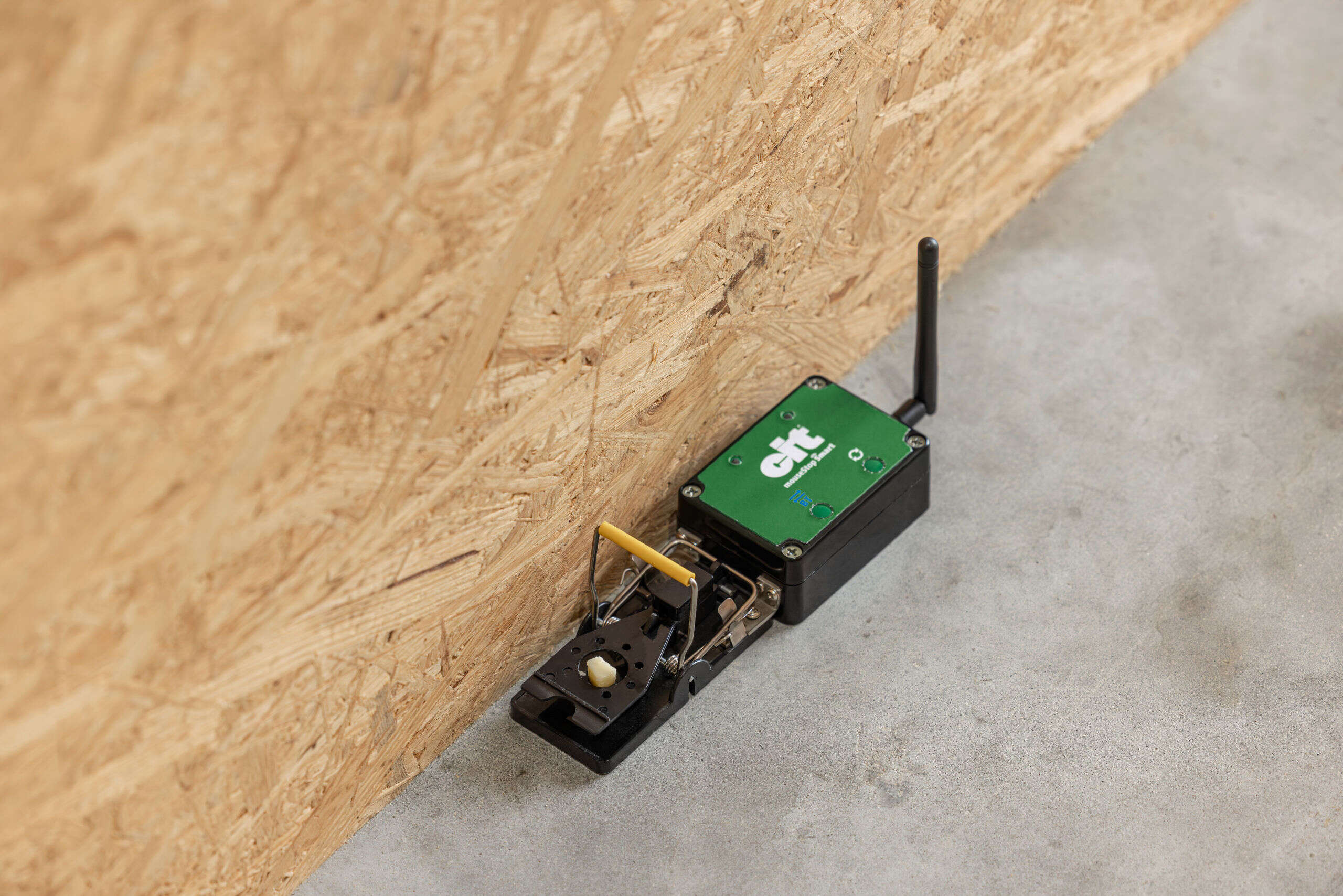 cit mouseStop Smart