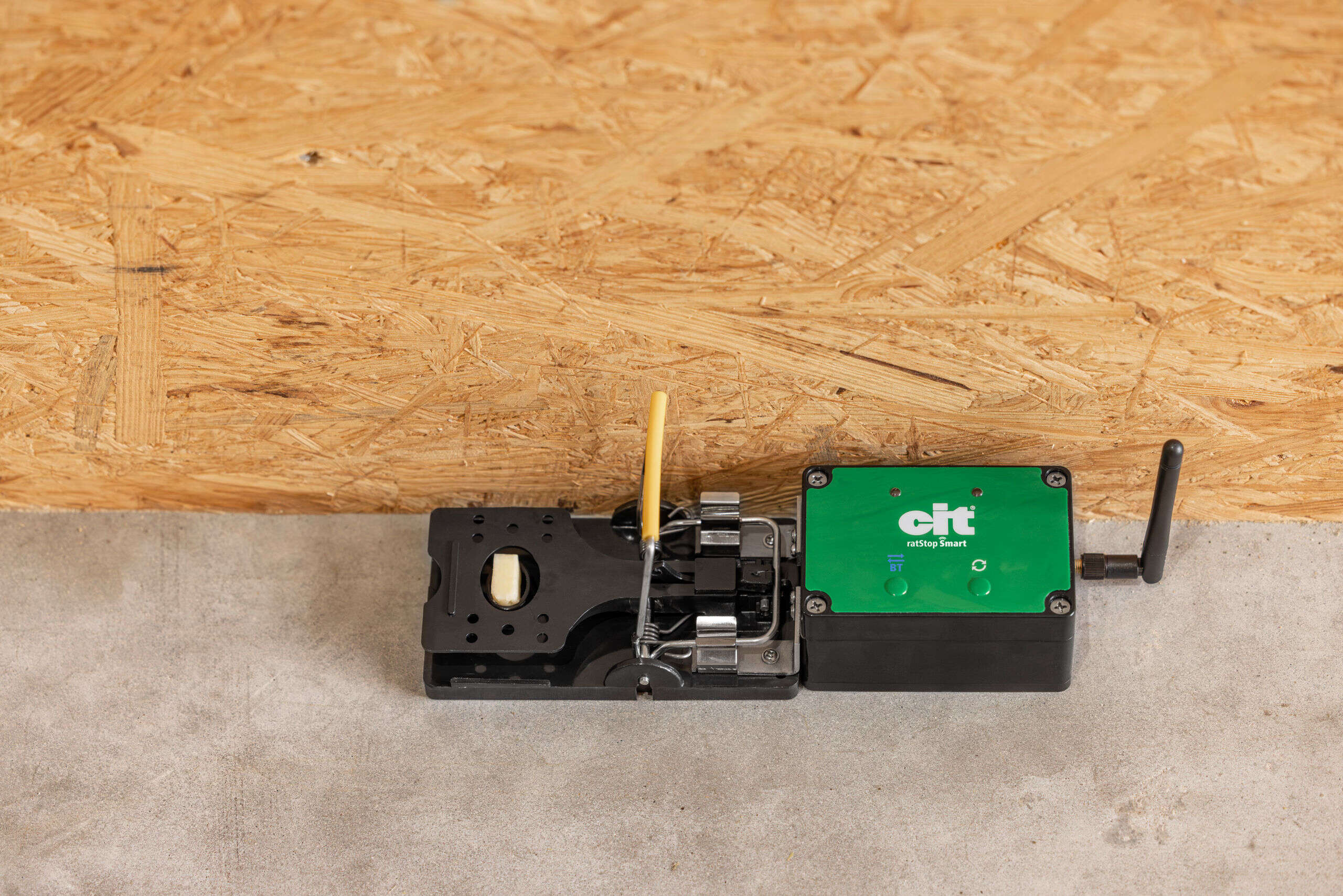 cit ratStop Smart