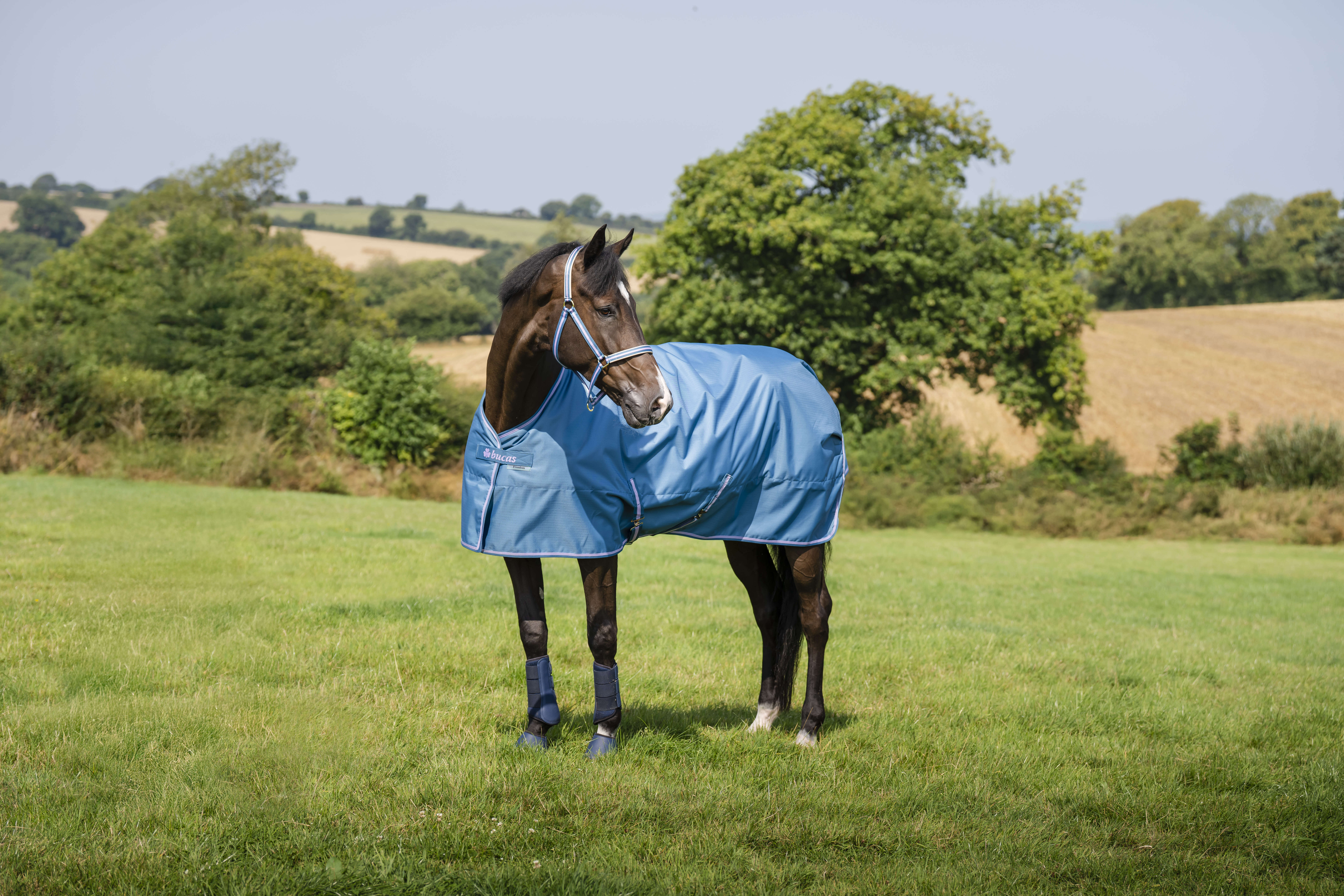 bucas Outdoordecke Freedom Turnout 50 g Blueberry