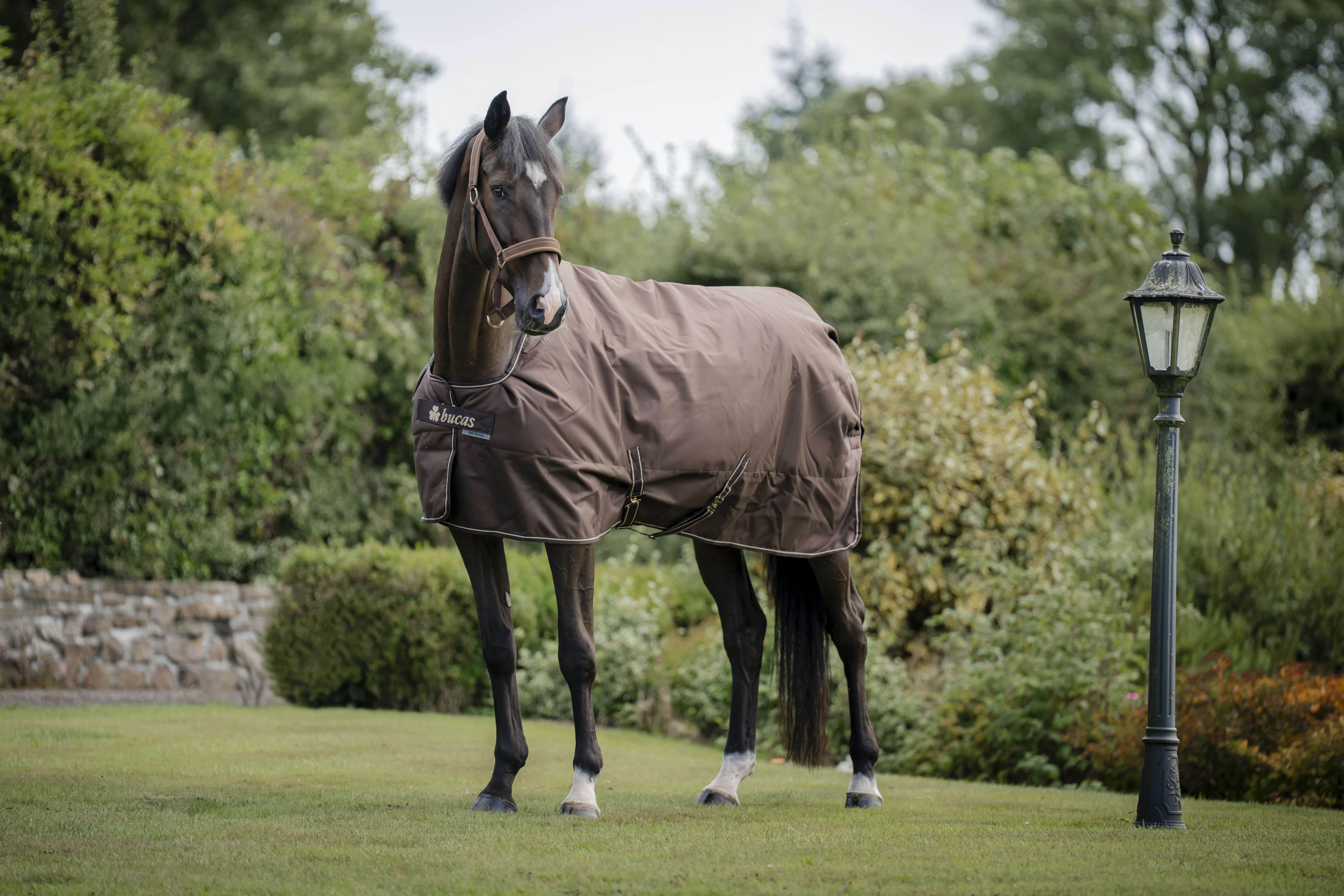 bucas Outdoordecke Irish Turnout & Neck 300 g Espresso