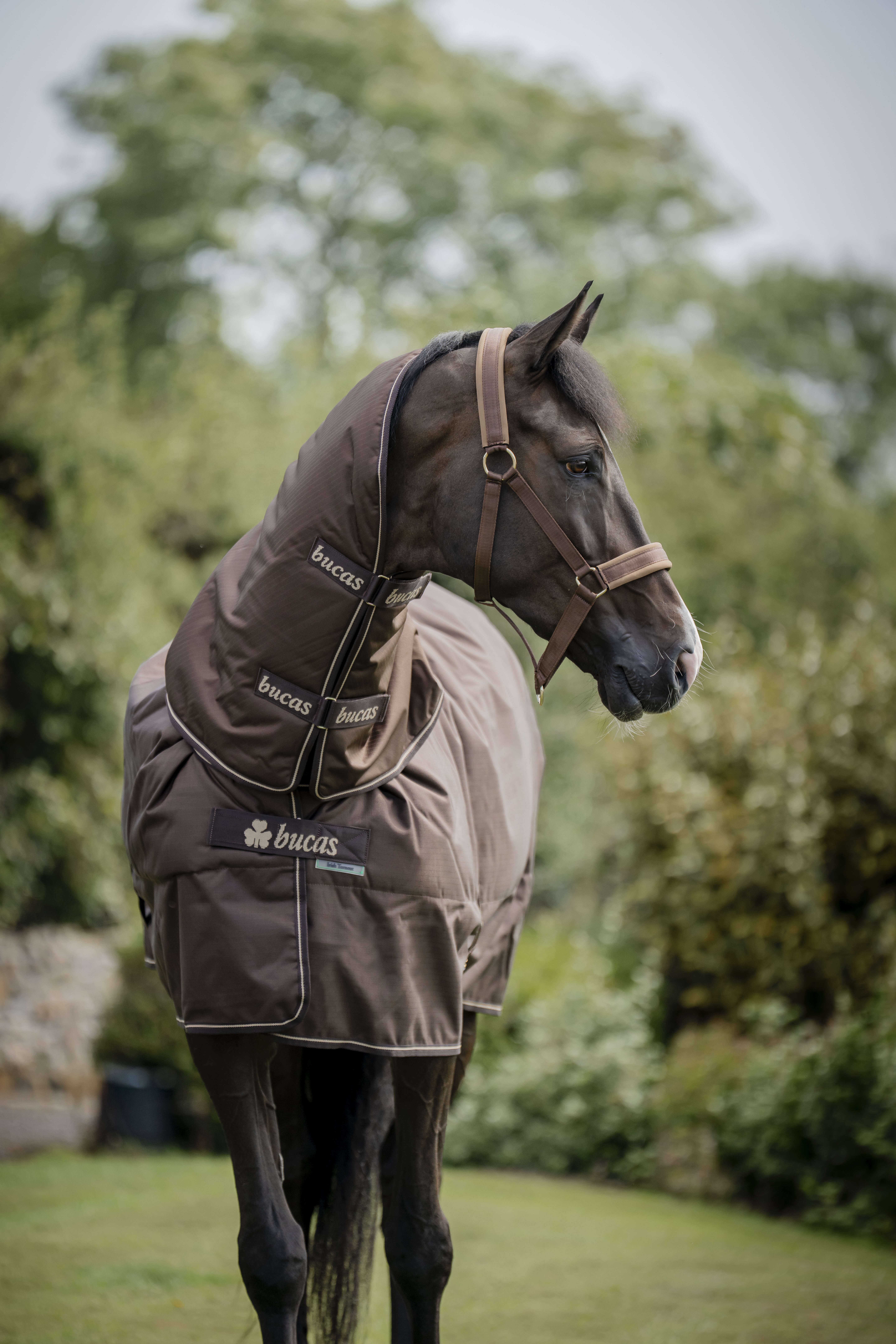 bucas Outdoordecke Irish Turnout & Neck 300 g Espresso