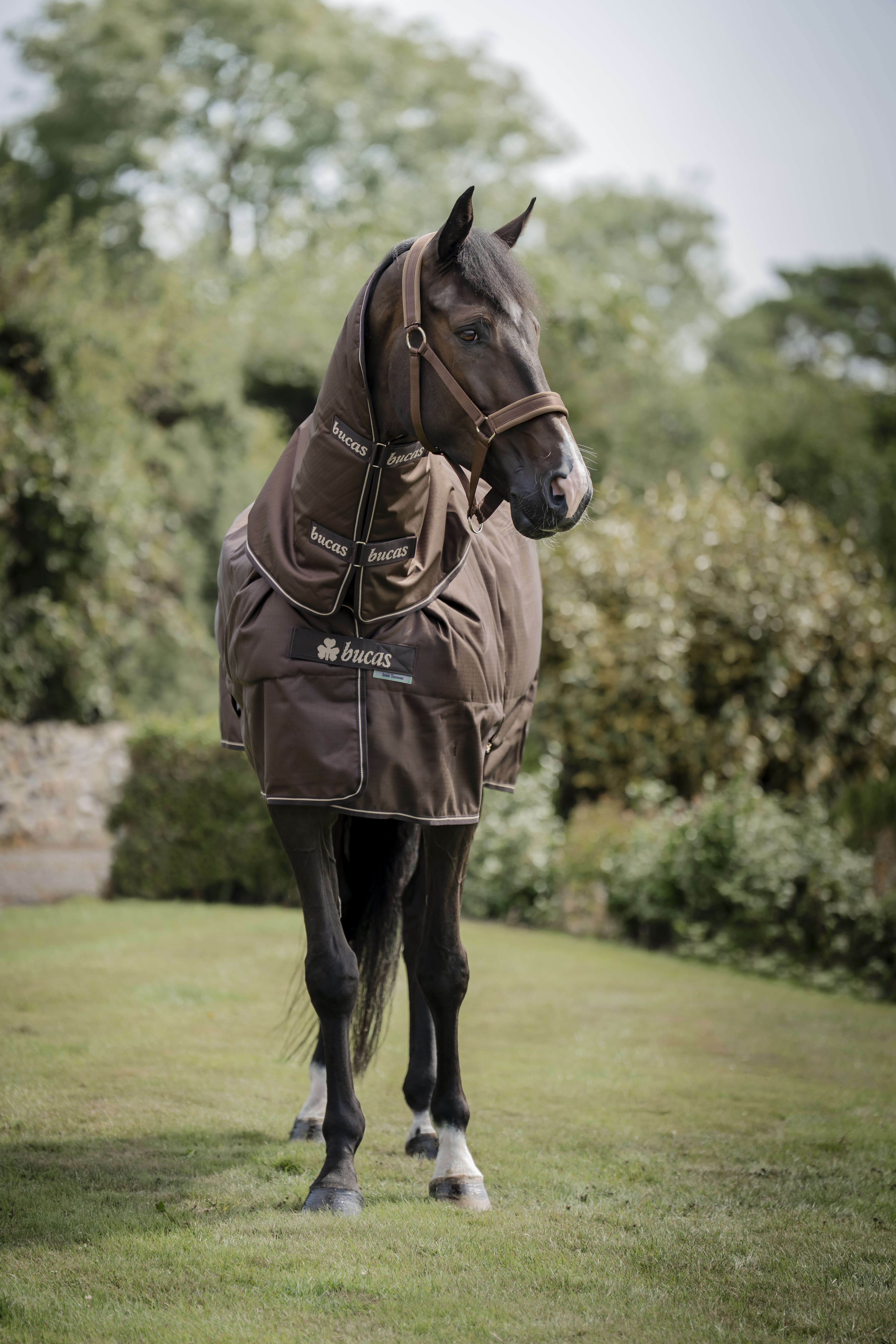 bucas Outdoordecke Irish Turnout & Neck 300 g Espresso