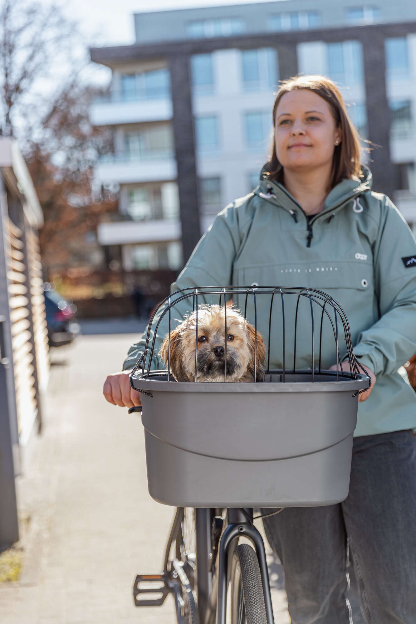 TRIXIE Hundefahrradkorb mit Universal-Halterung und Klickverschluss