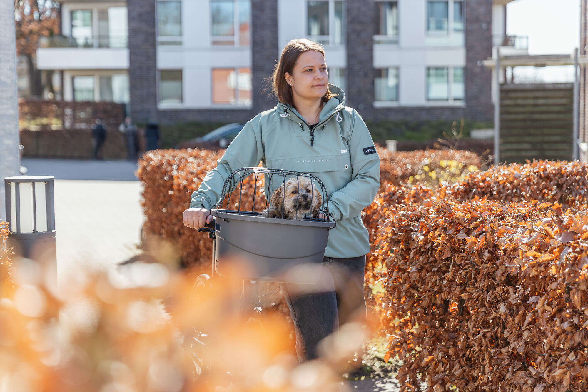 TRIXIE Hundefahrradkorb mit Universal-Halterung und Klickverschluss