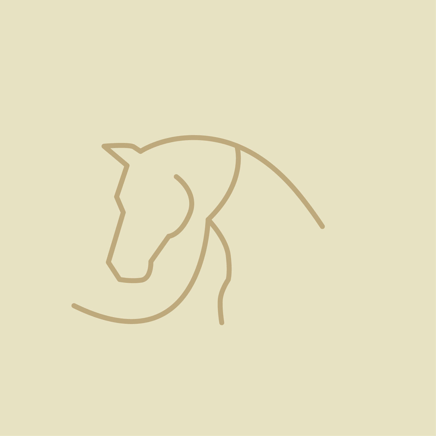pferd Longieren Bodenarbeiten icon