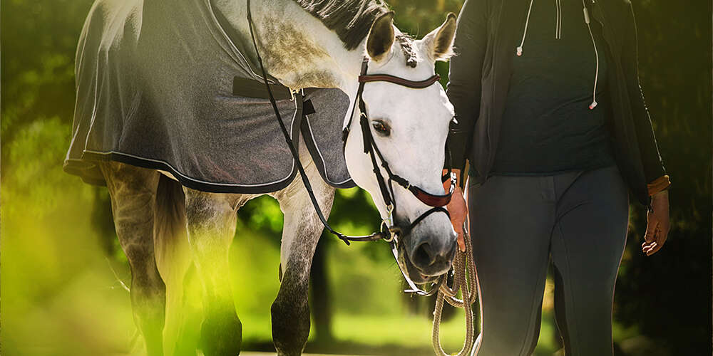 Pferd mit Decke und Reiterin