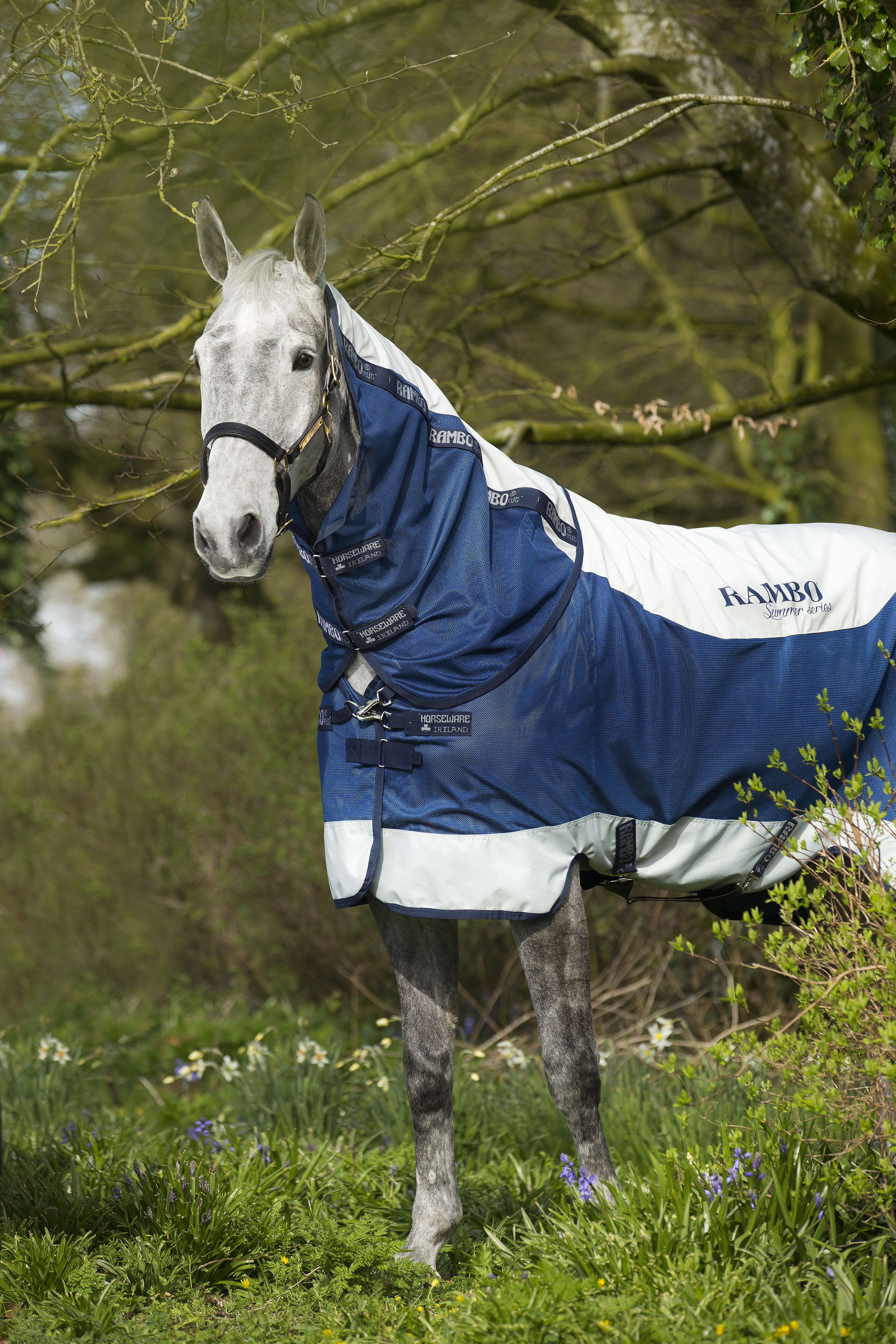 RAMBO Outdoordecke Summer Series